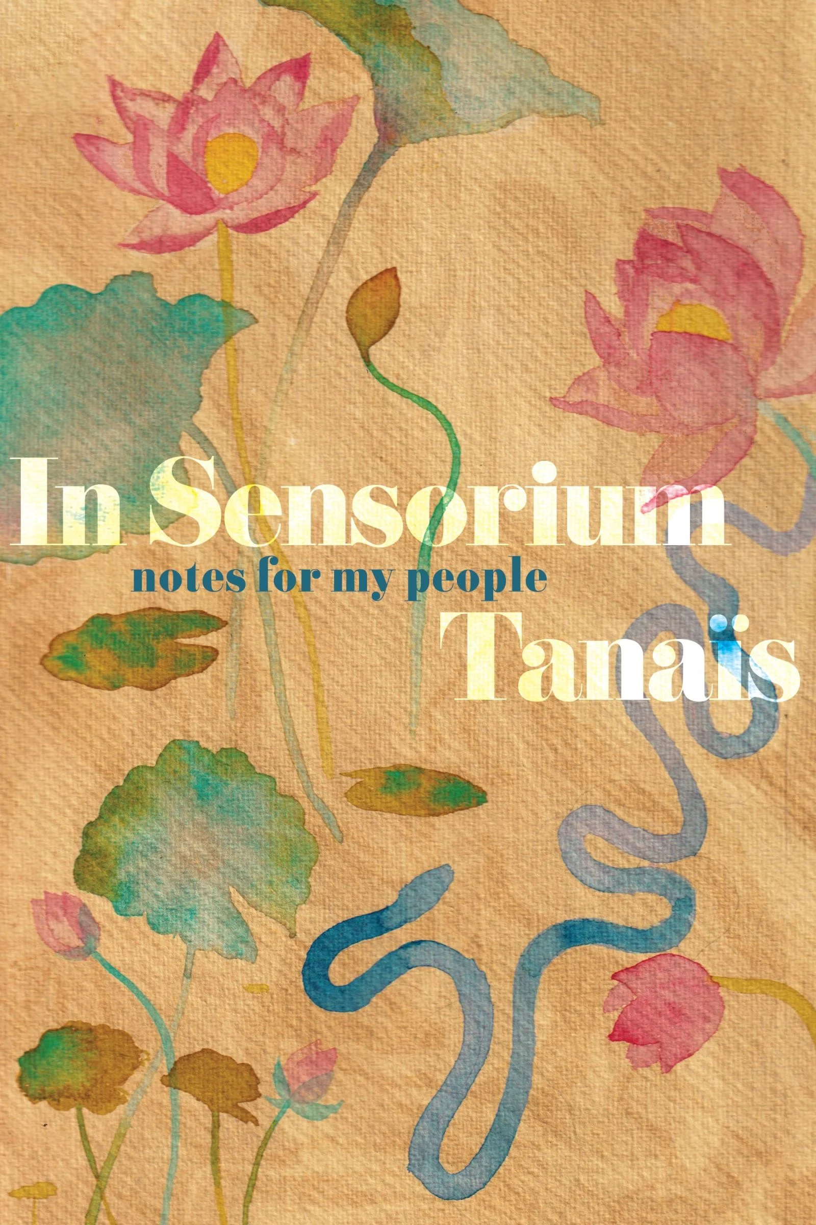 In Sensorium - Image 2