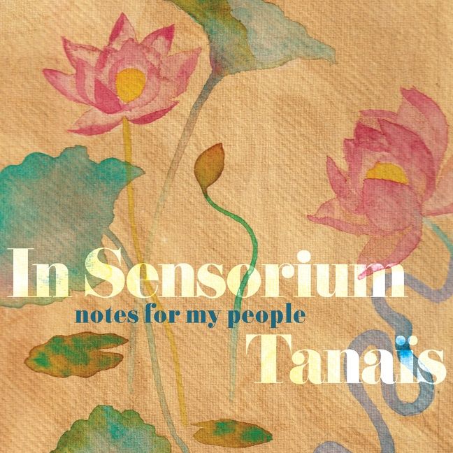 In Sensorium - Image 2