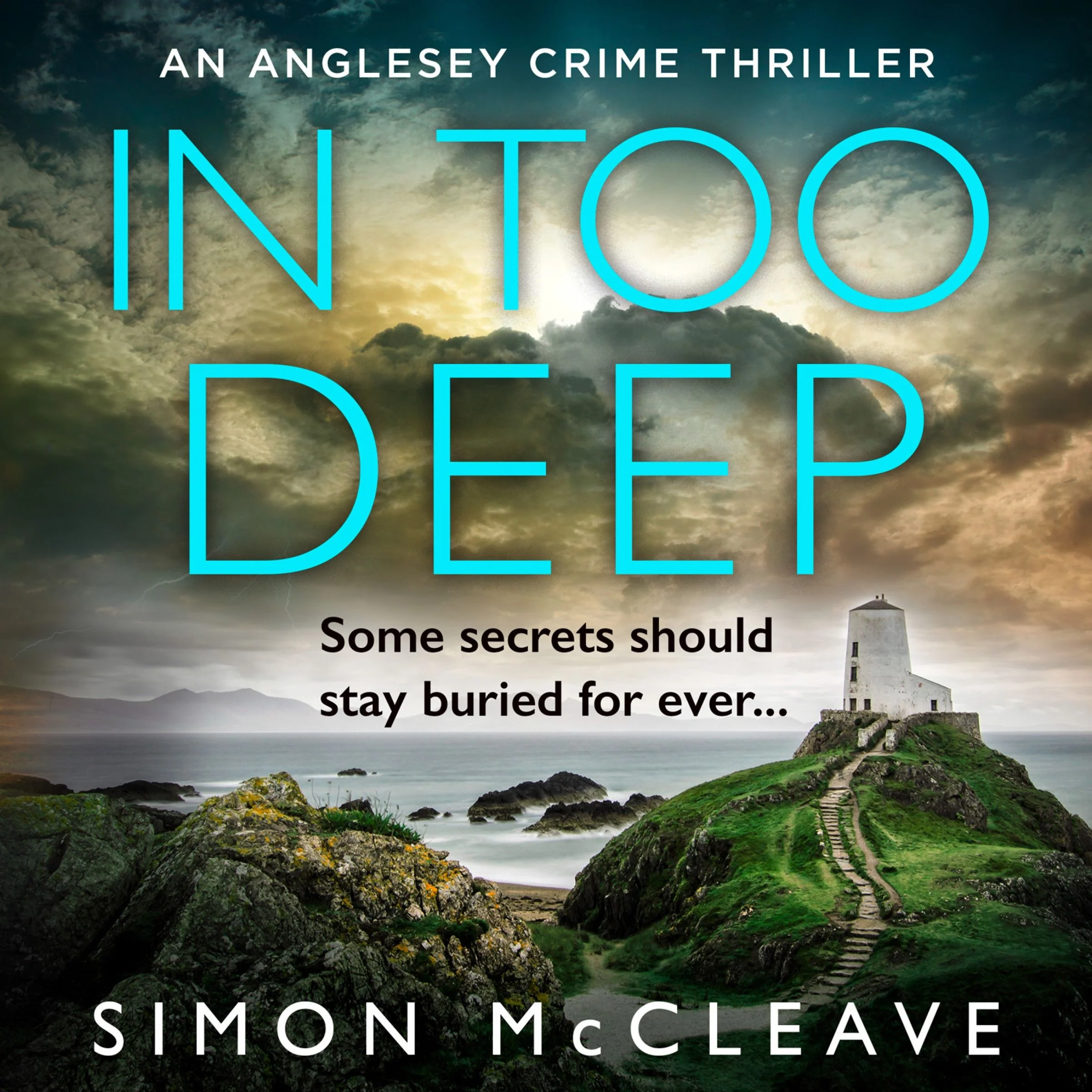 In Too Deep (The Anglesey Series, Book 2) - Image 2