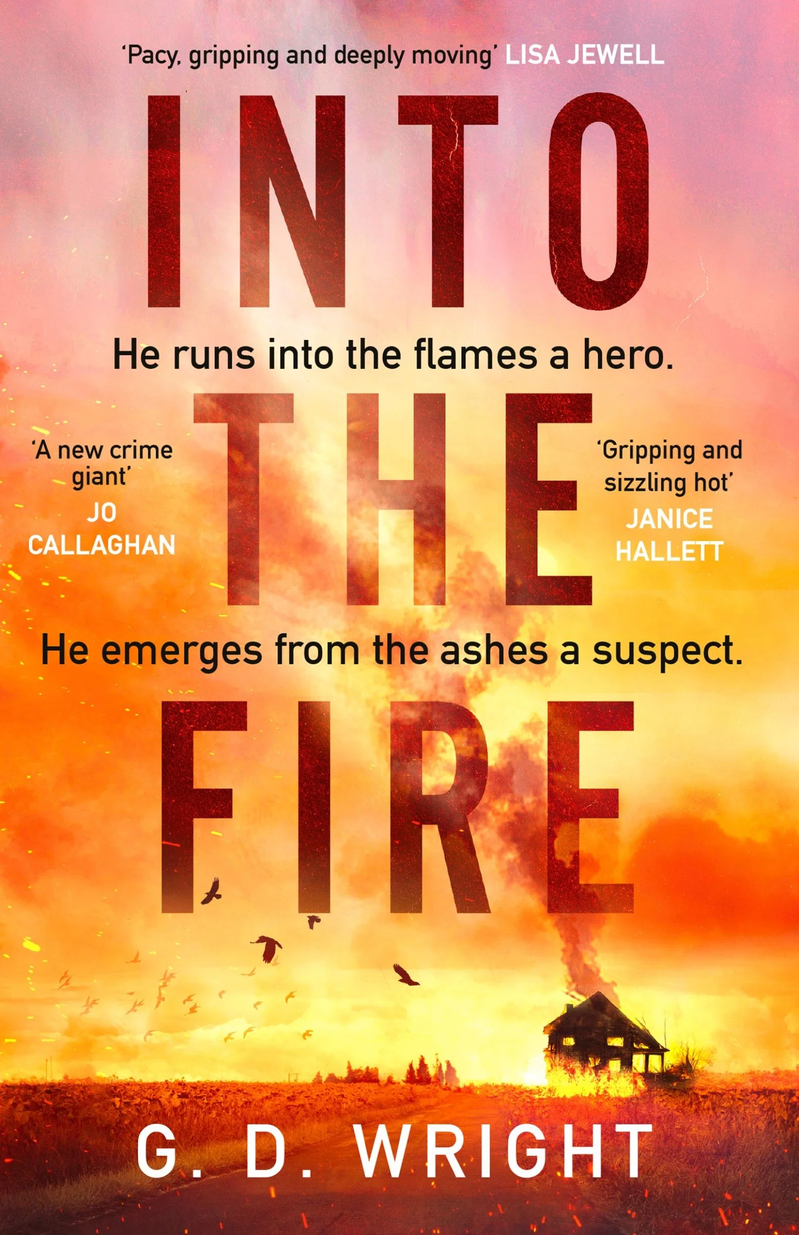 Into the Fire - Image 2