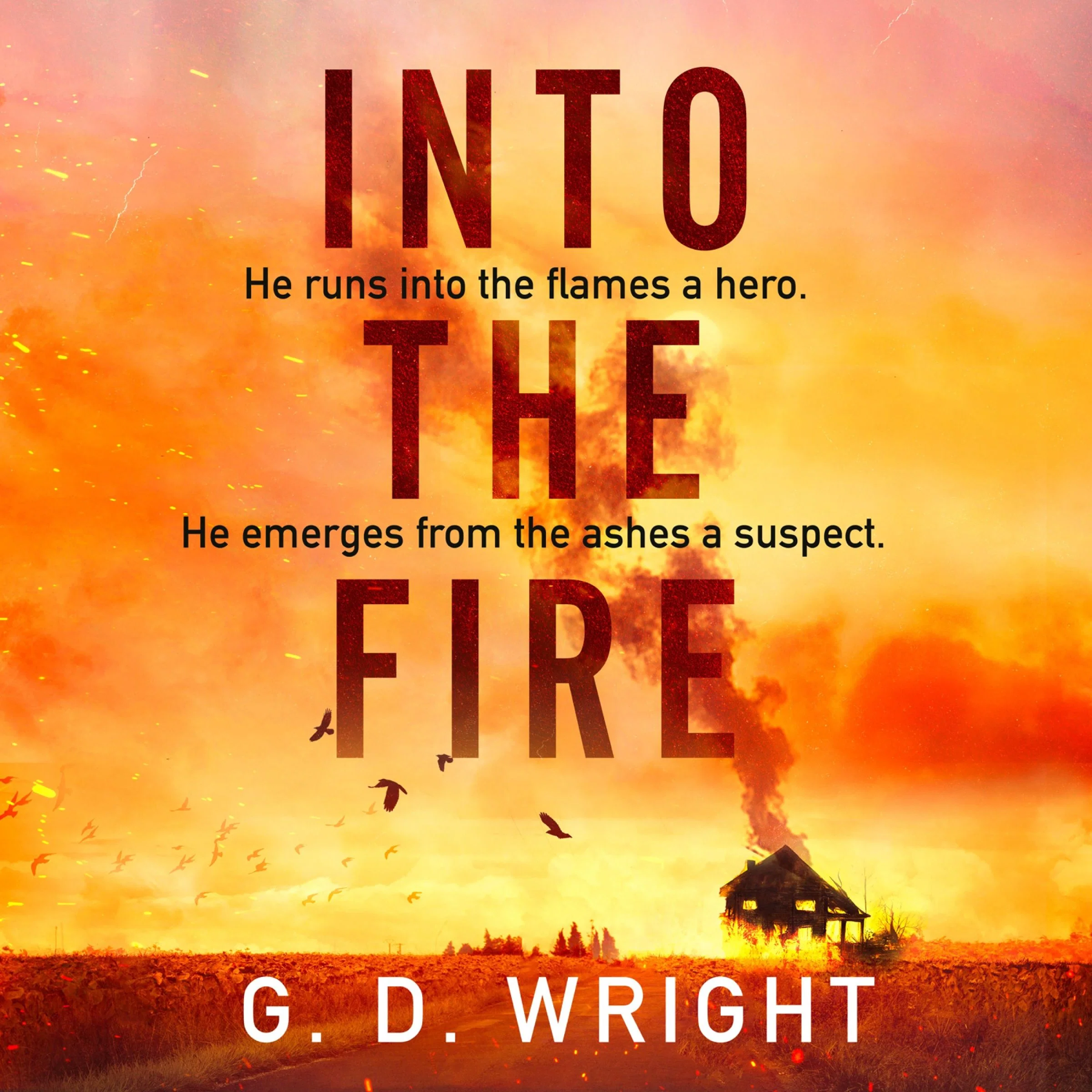 Into the Fire - Image 4
