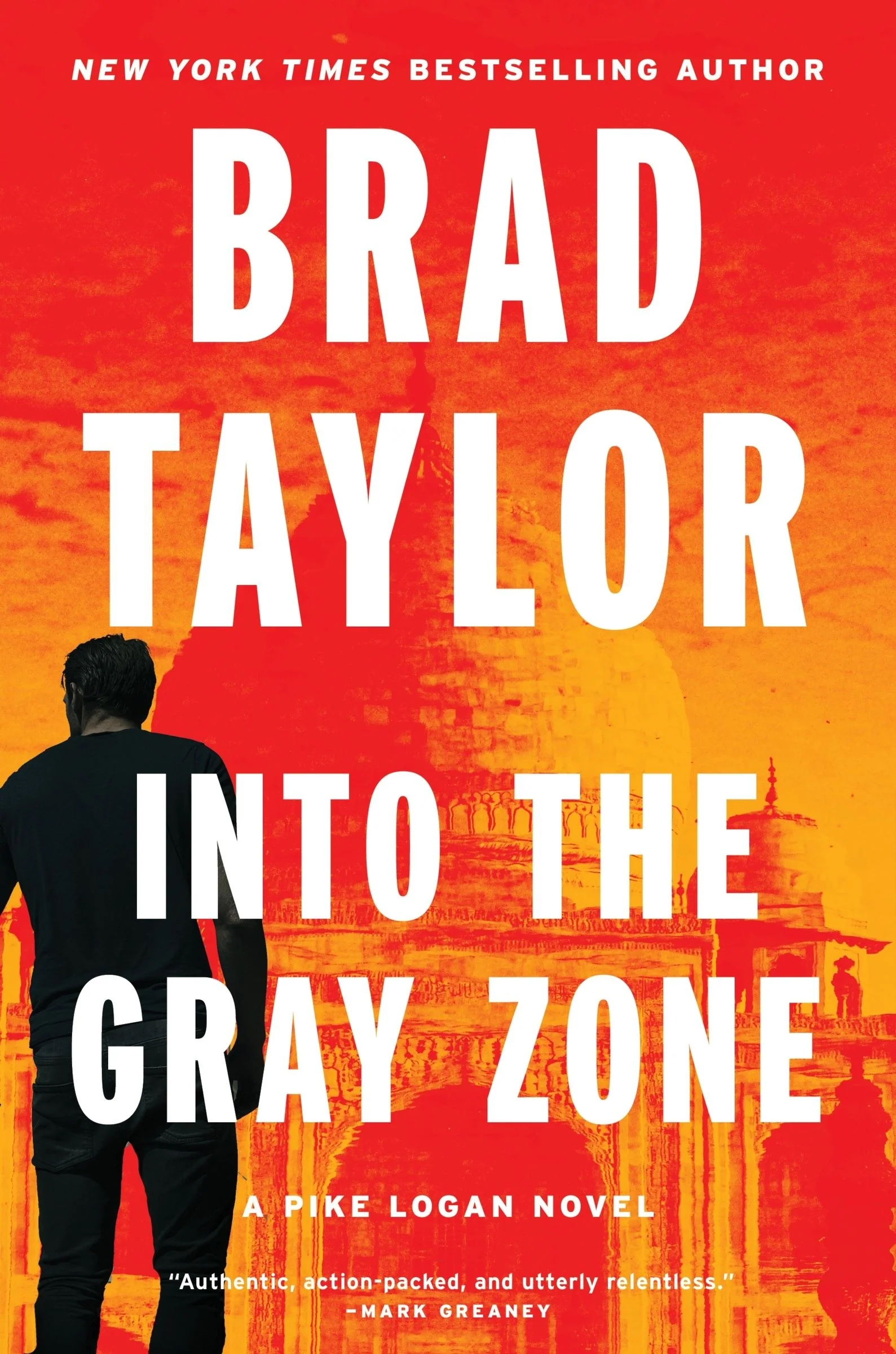 Into the Gray Zone - Image 2