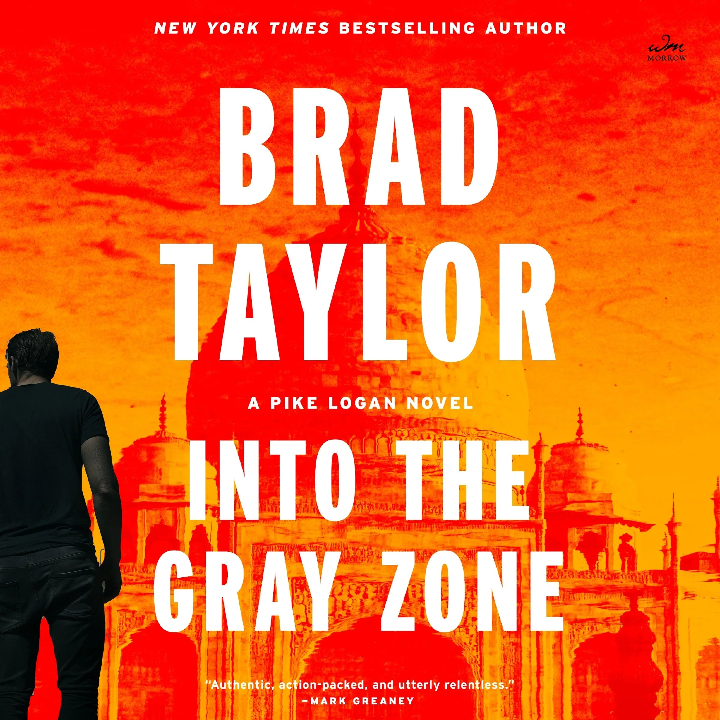 Into the Gray Zone - Image 5