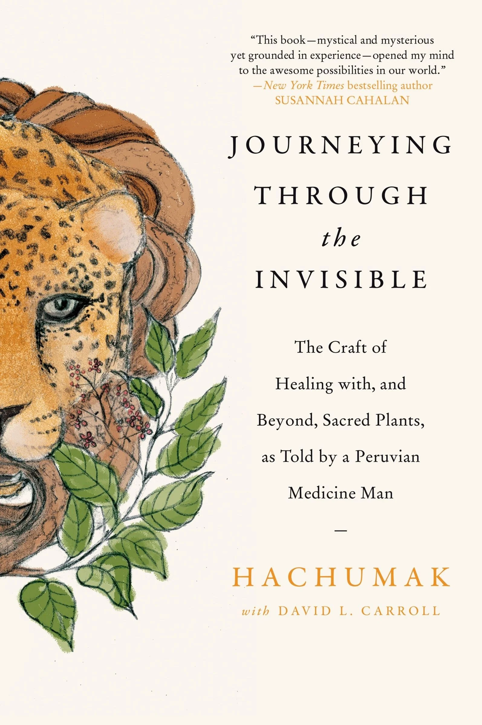 Journeying Through the Invisible - Image 4