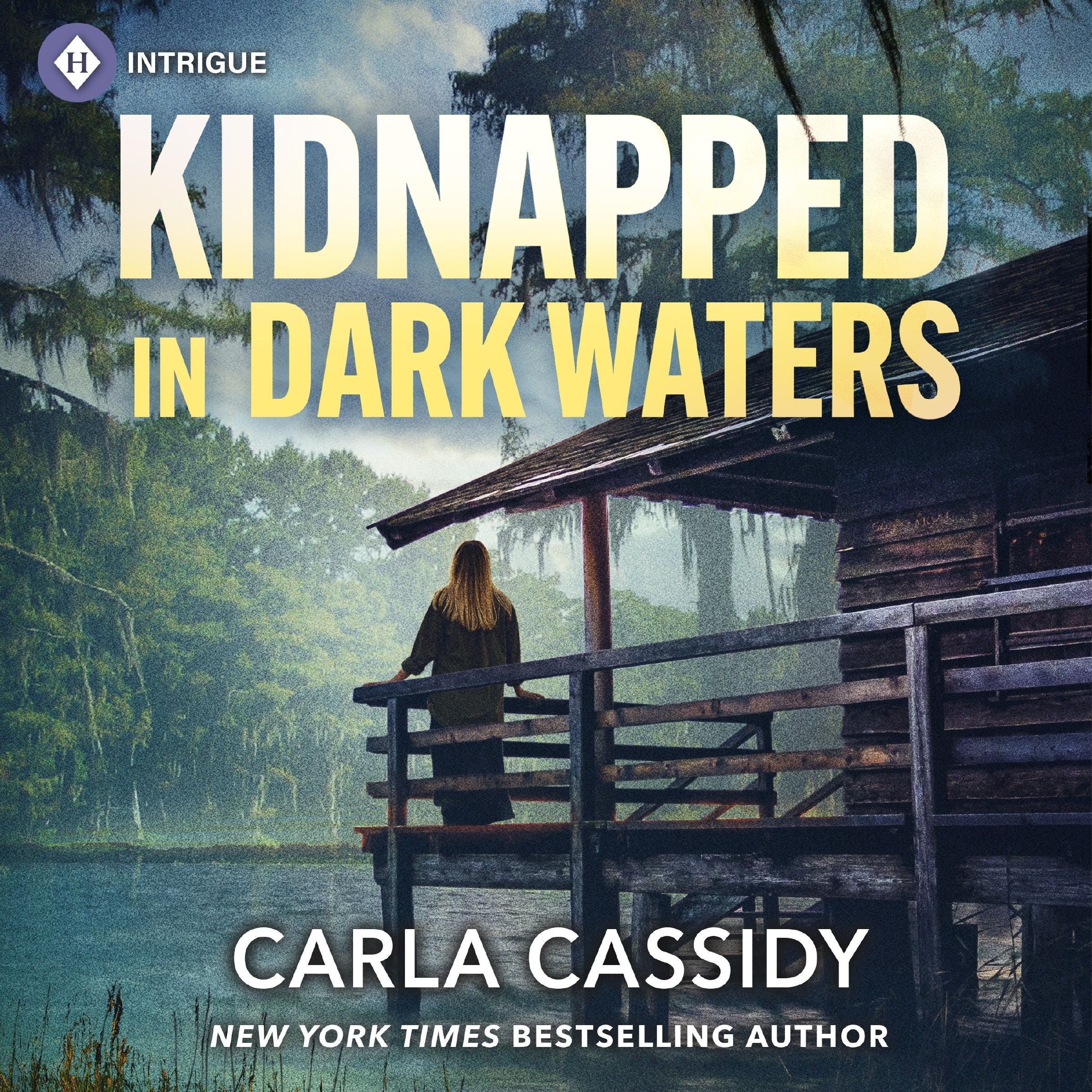 Kidnapped in Dark Waters - Image 2