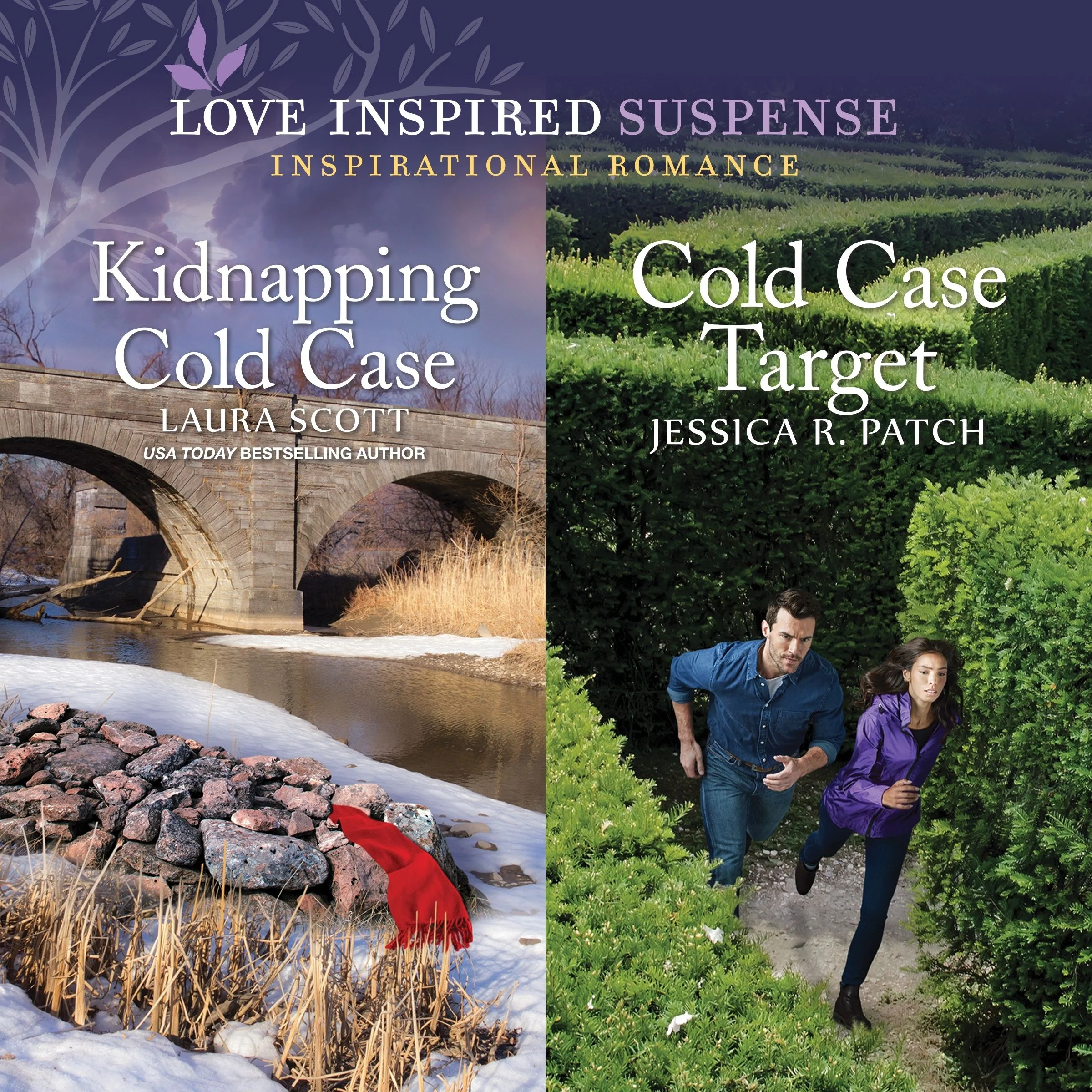 Kidnapping Cold Case & Cold Case Target - Image 2