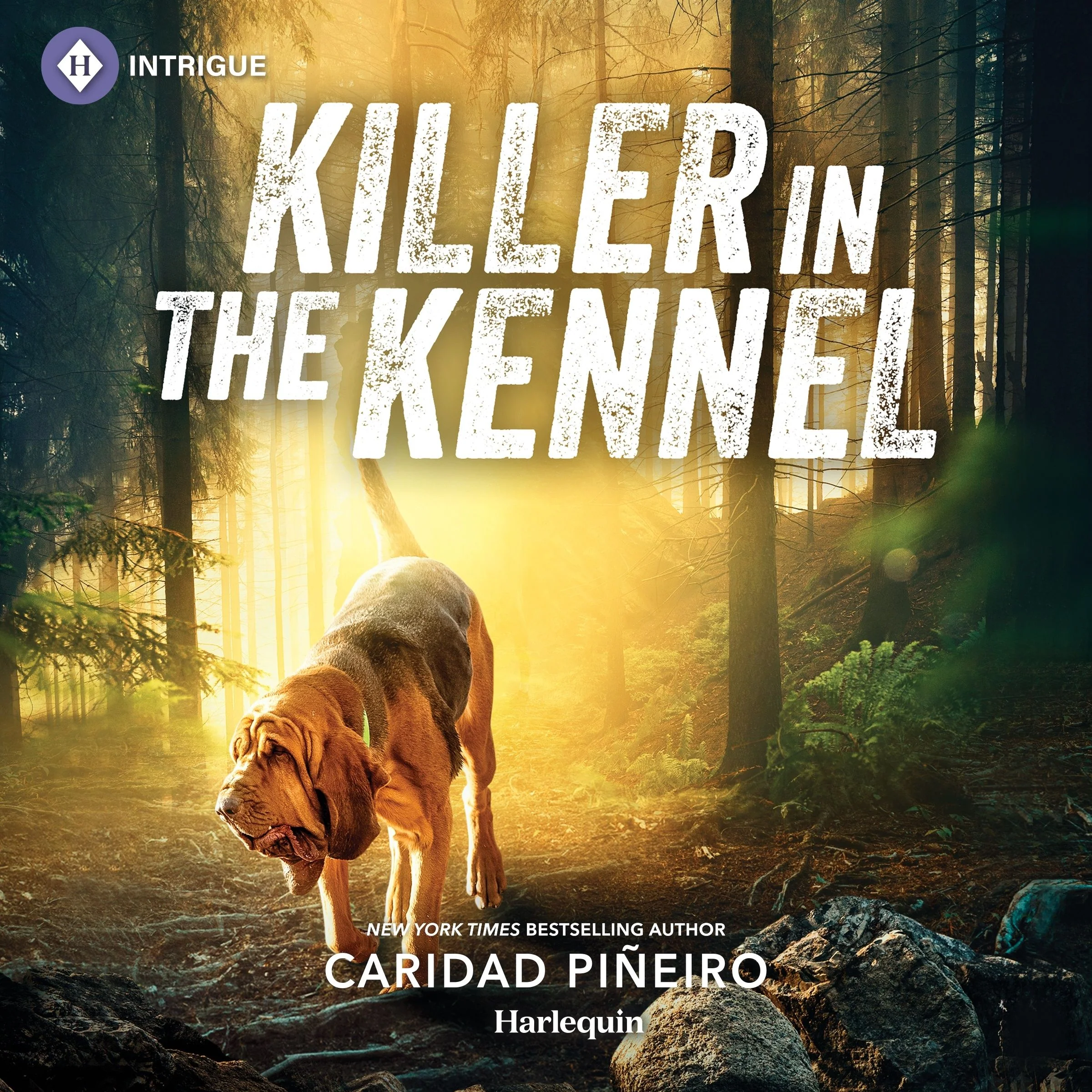 Killer in the Kennel - Image 2
