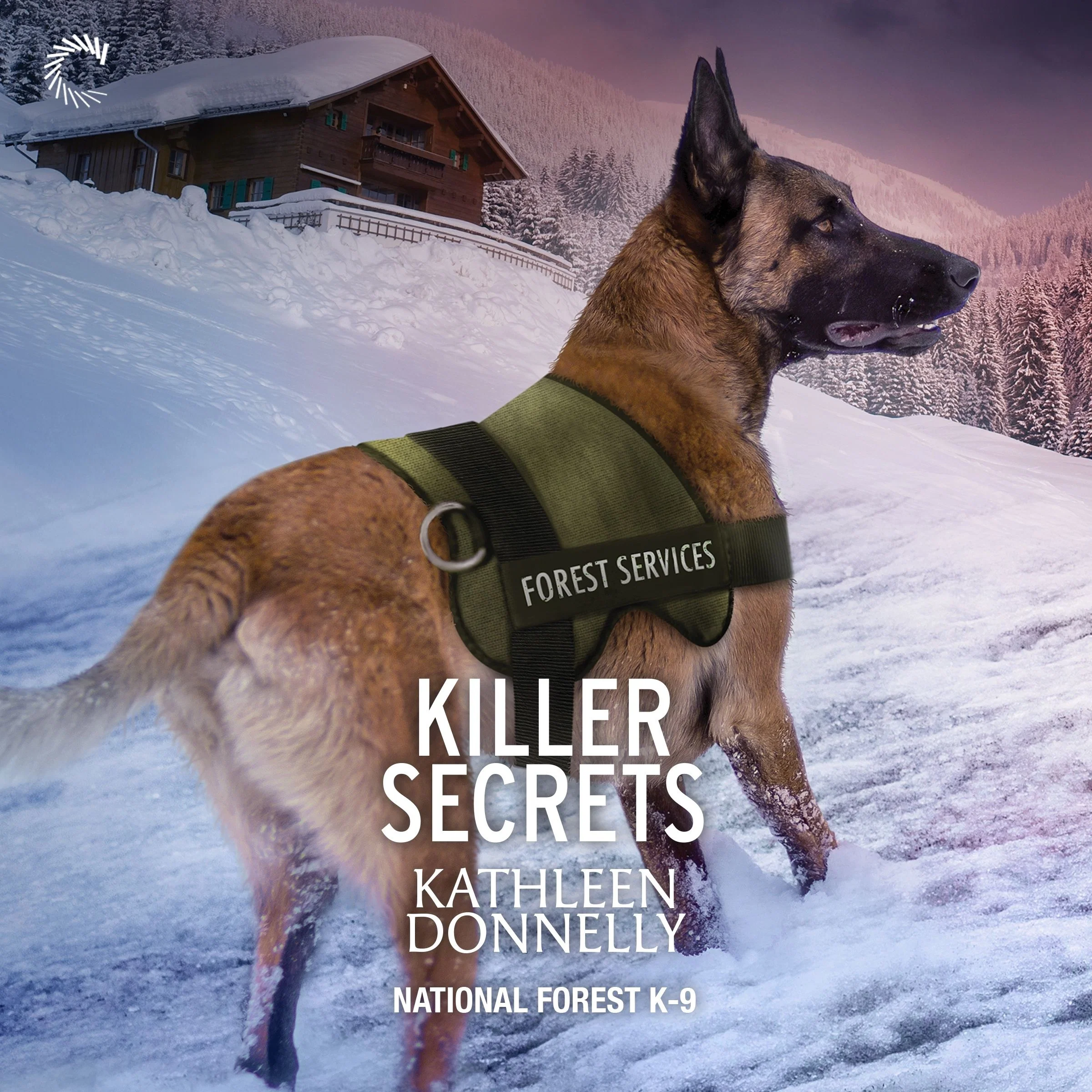 Killer Secrets - Image 2