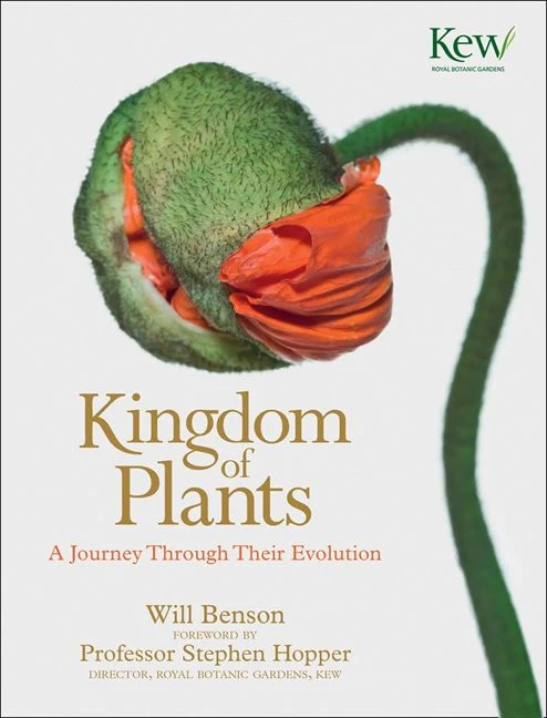 Kingdom of Plants: A Journey Through Their Evolution - Image 2