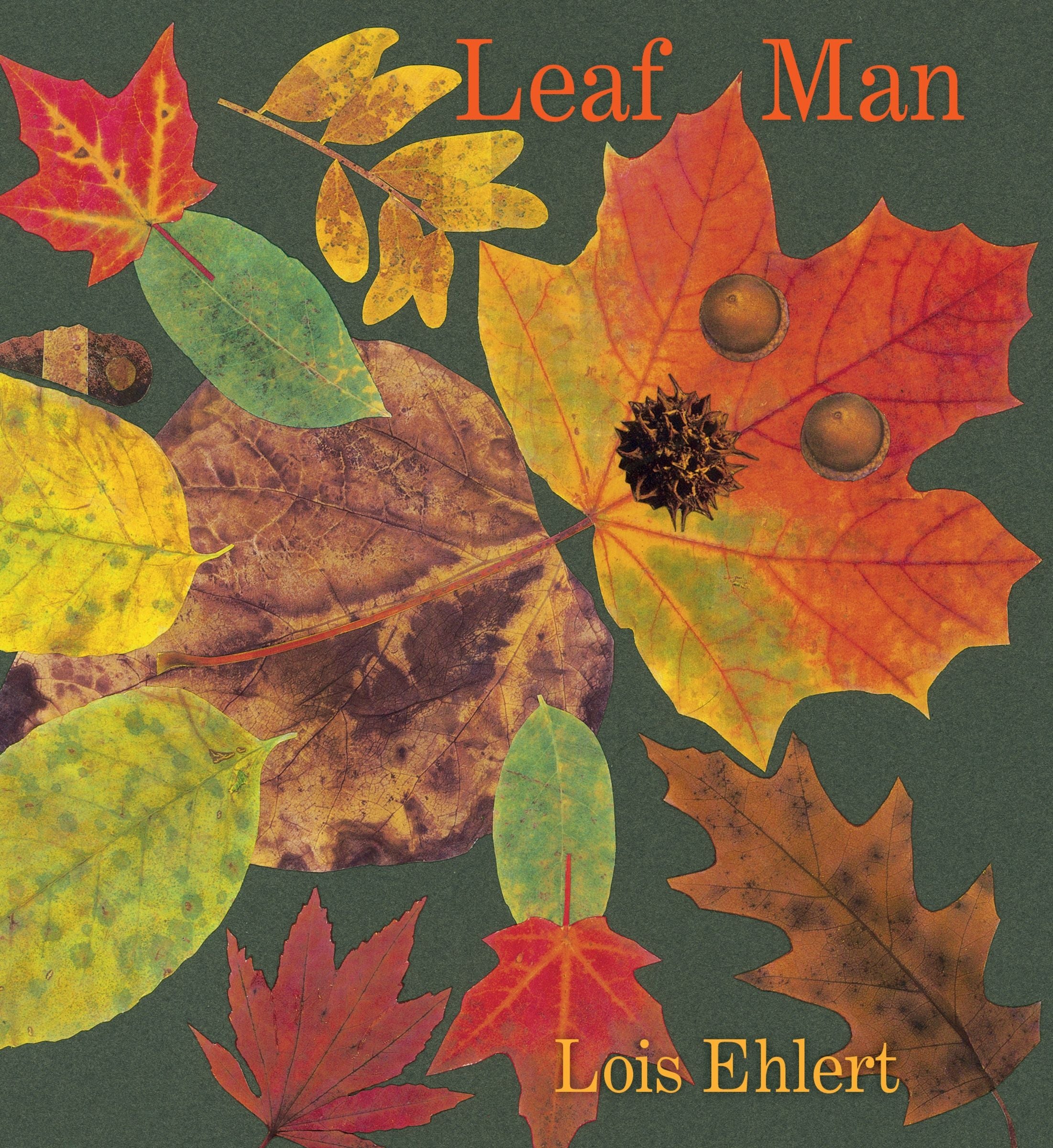 Leaf Man Board Book - Image 2