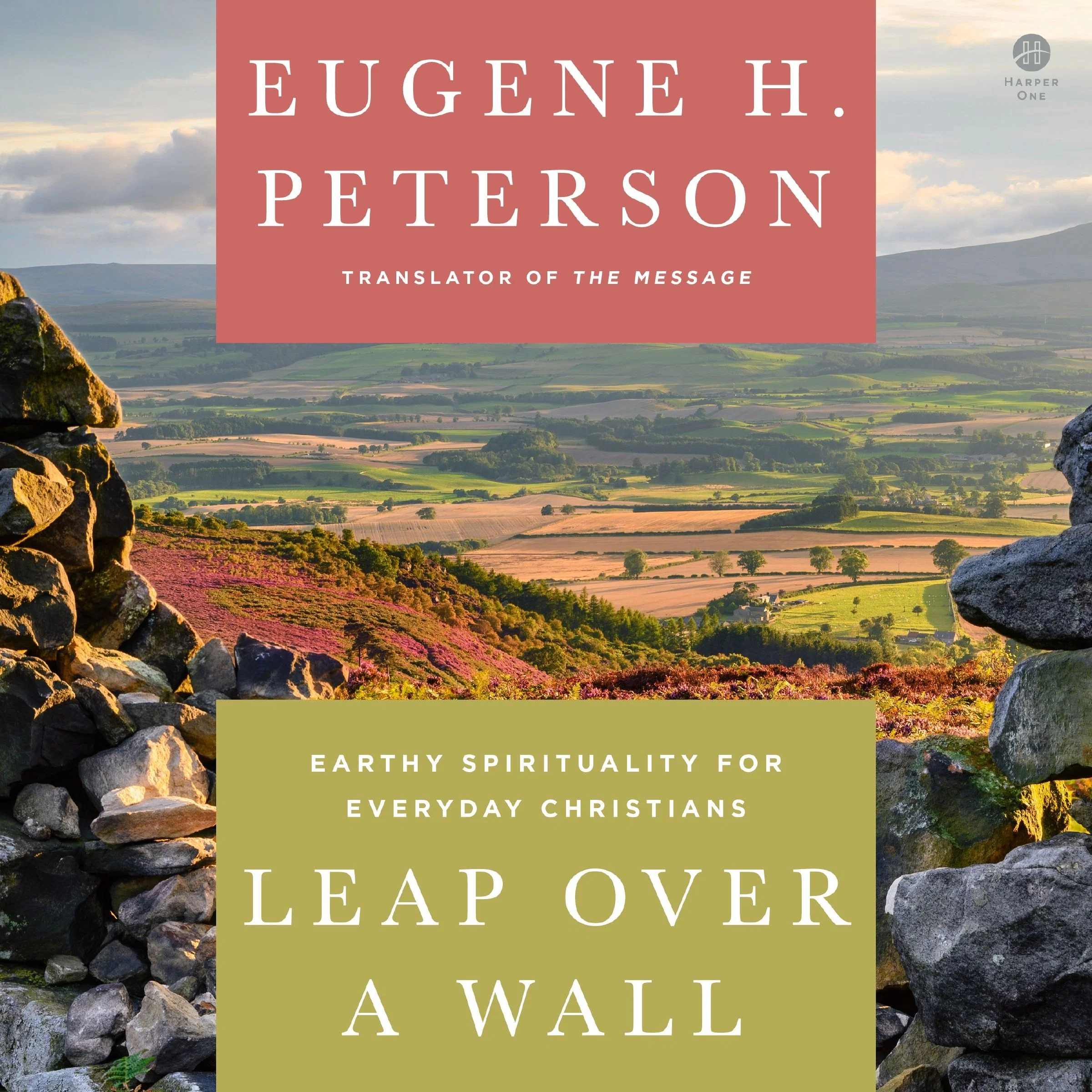 Leap Over a Wall - Image 4
