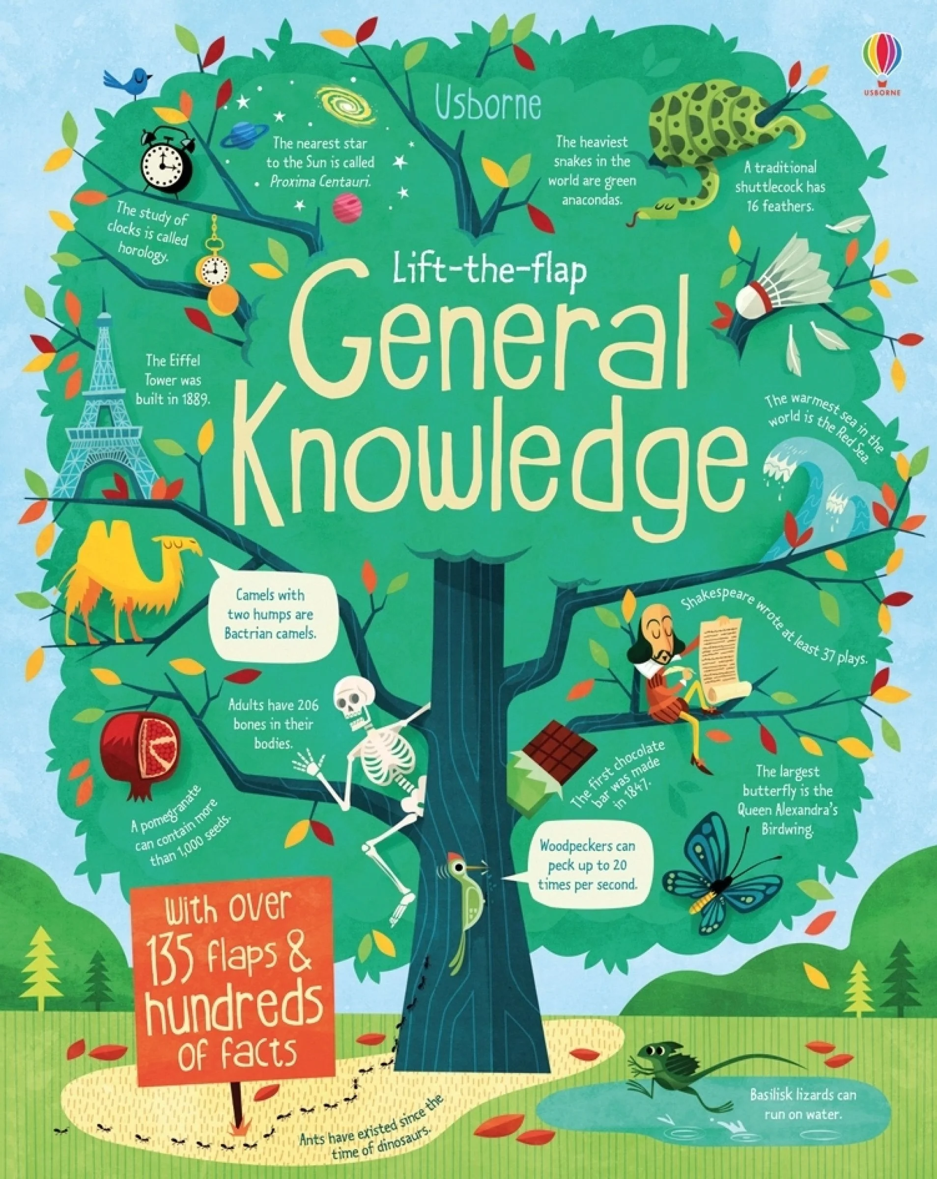 Lift-the-Flap General Knowledge - Image 2