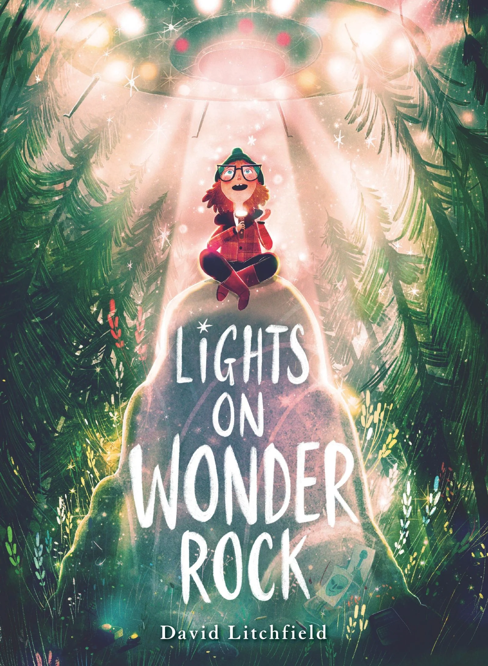 Lights on Wonder Rock - Image 3