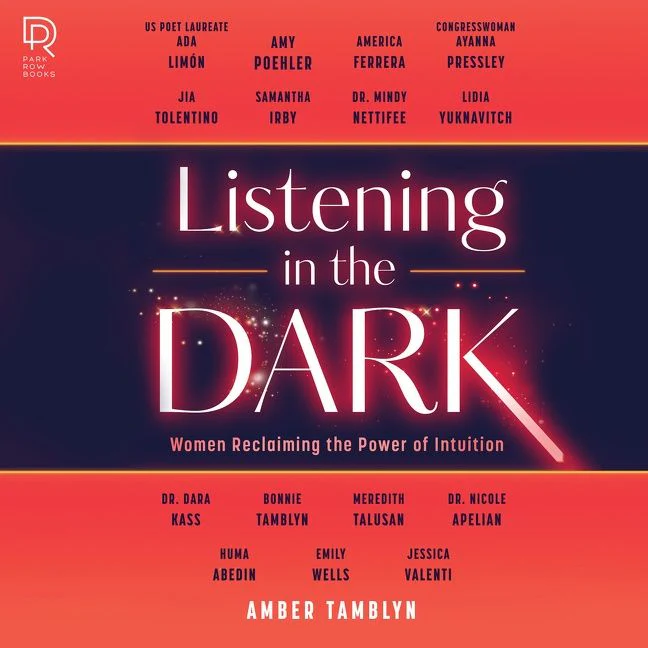 Listening in the Dark - Image 4
