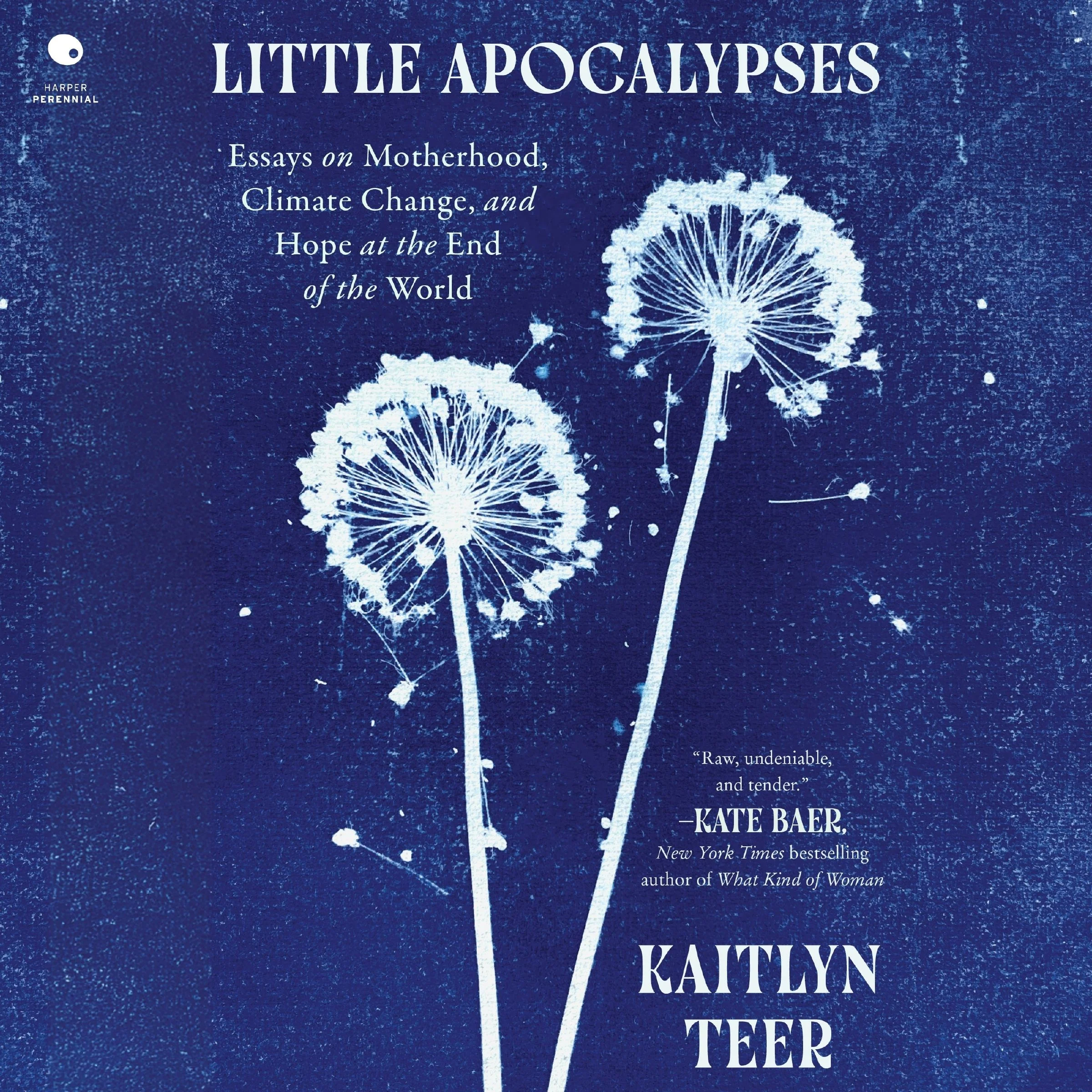 Little Apocalypses - Image 4