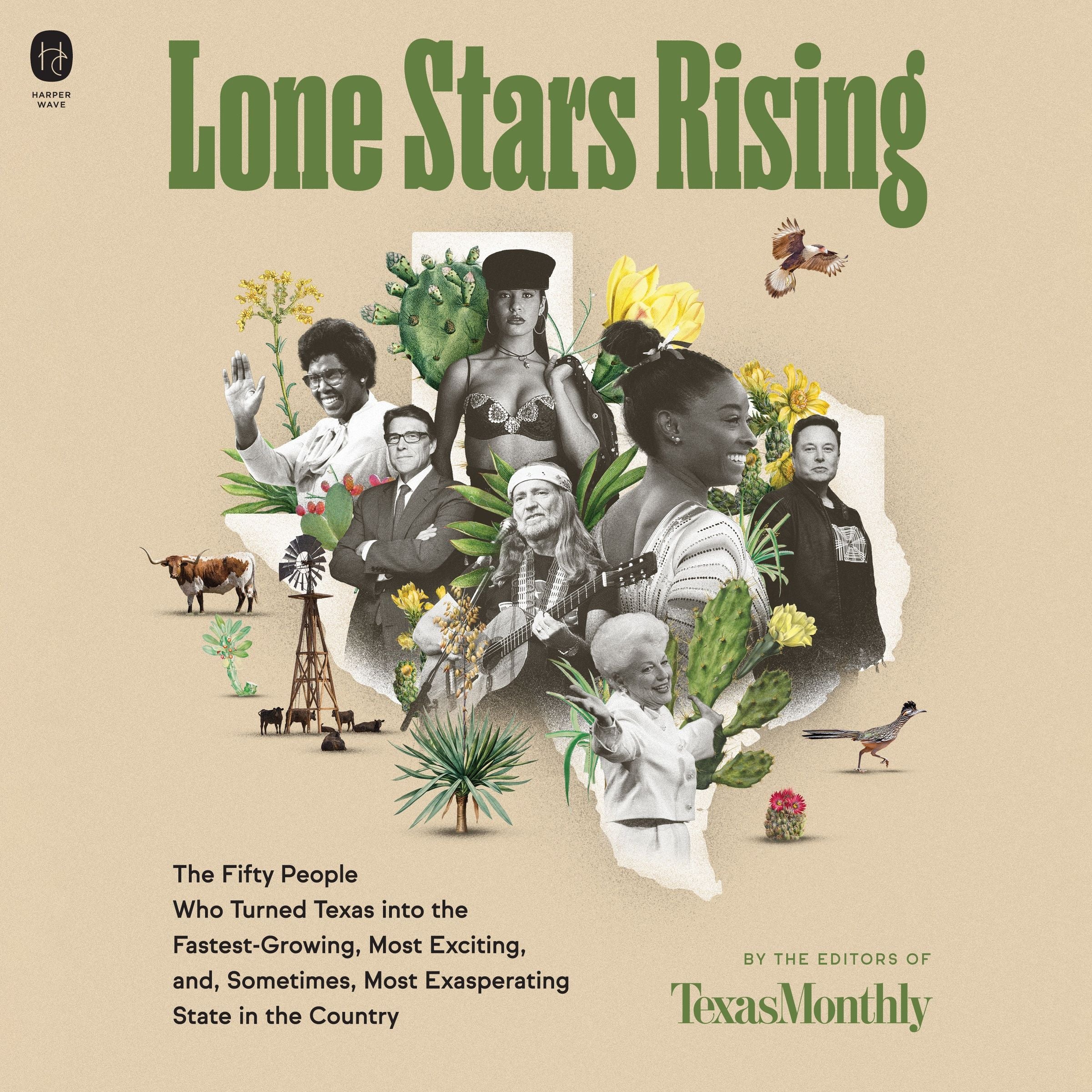 Lone Stars Rising - Image 4