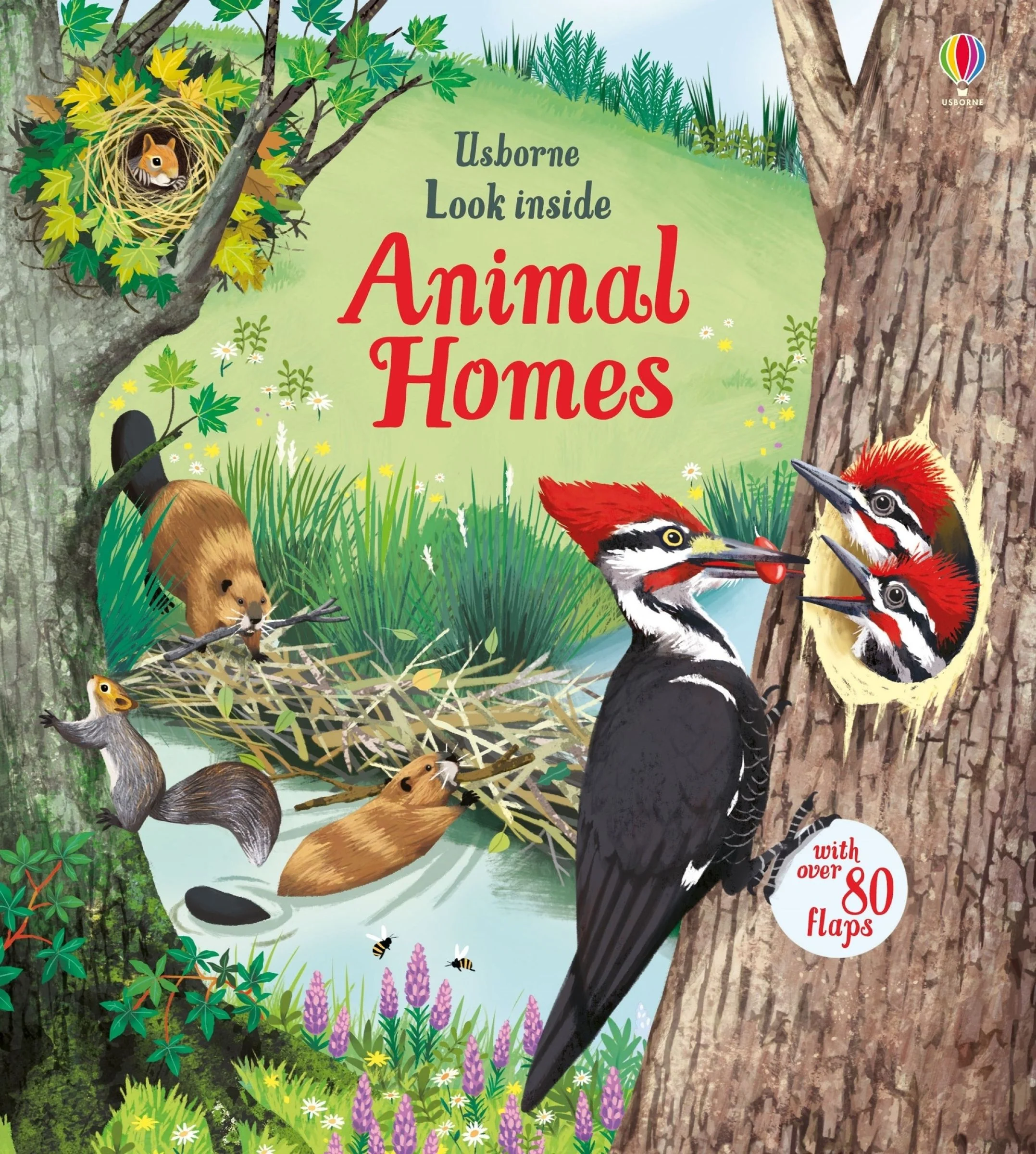 Look Inside Animal Homes - Image 2