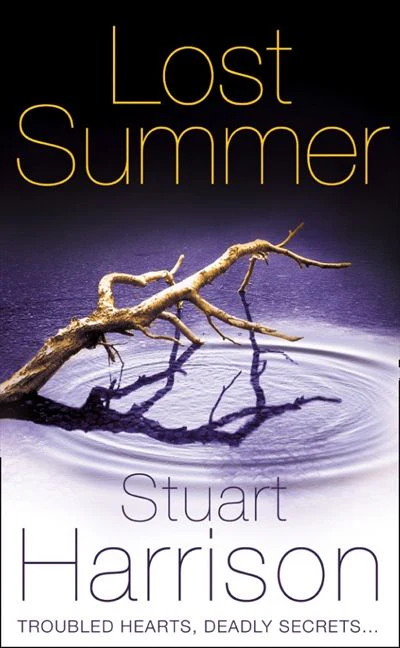 Lost Summer - Image 3
