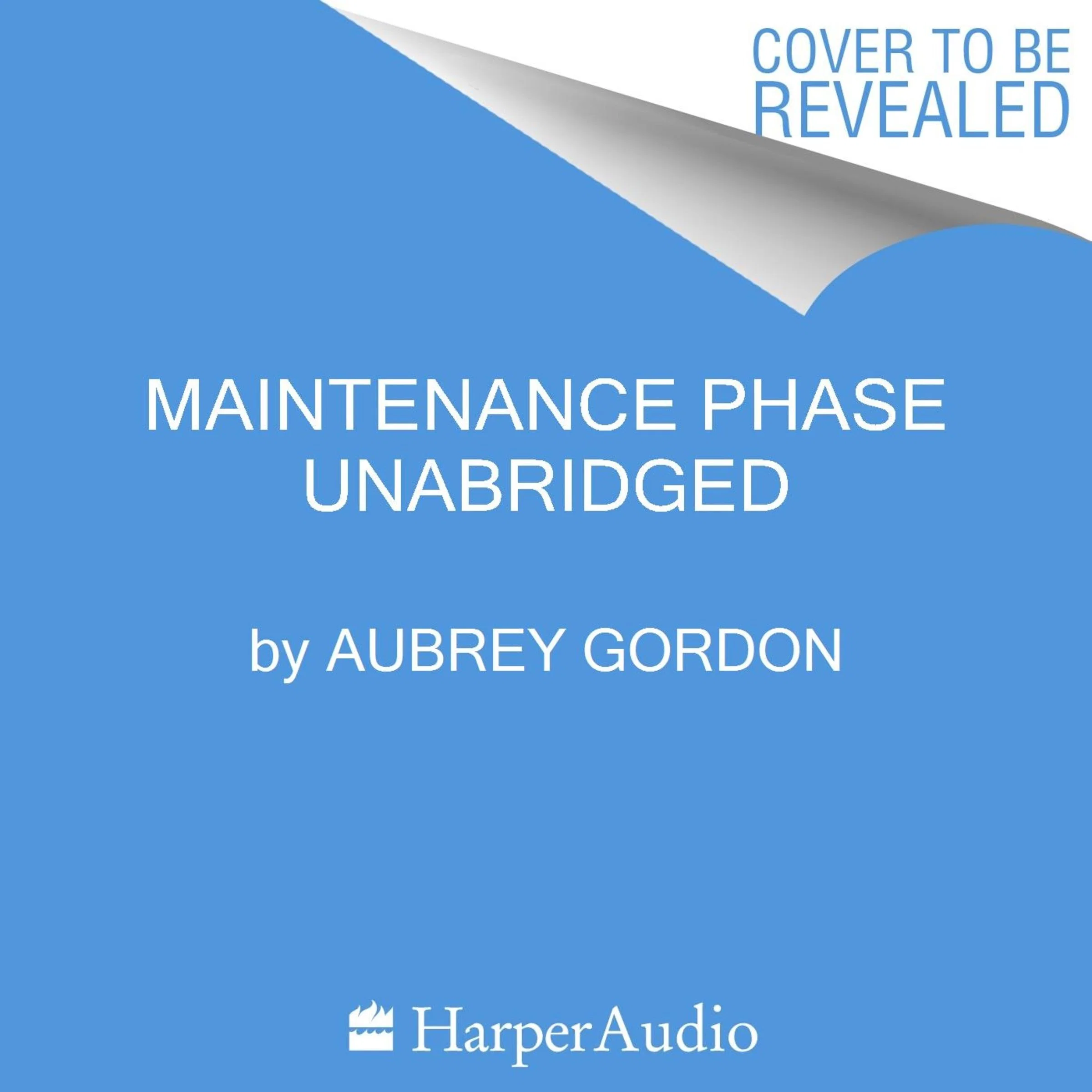 Maintenance Phase - Image 3