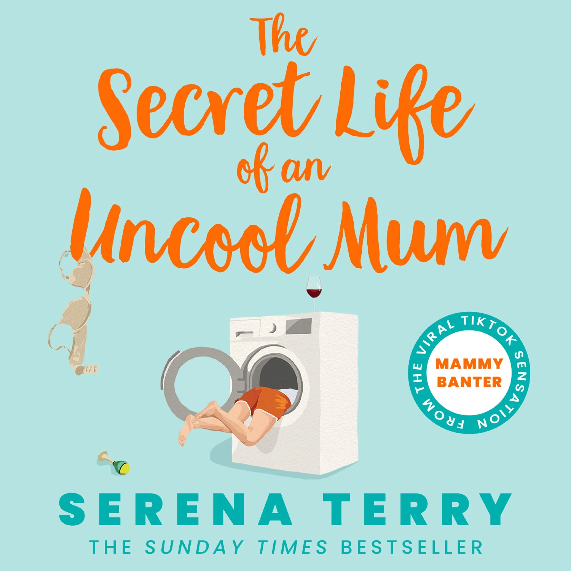 Mammy Banter: The Secret Life of an Uncool Mum - Image 3