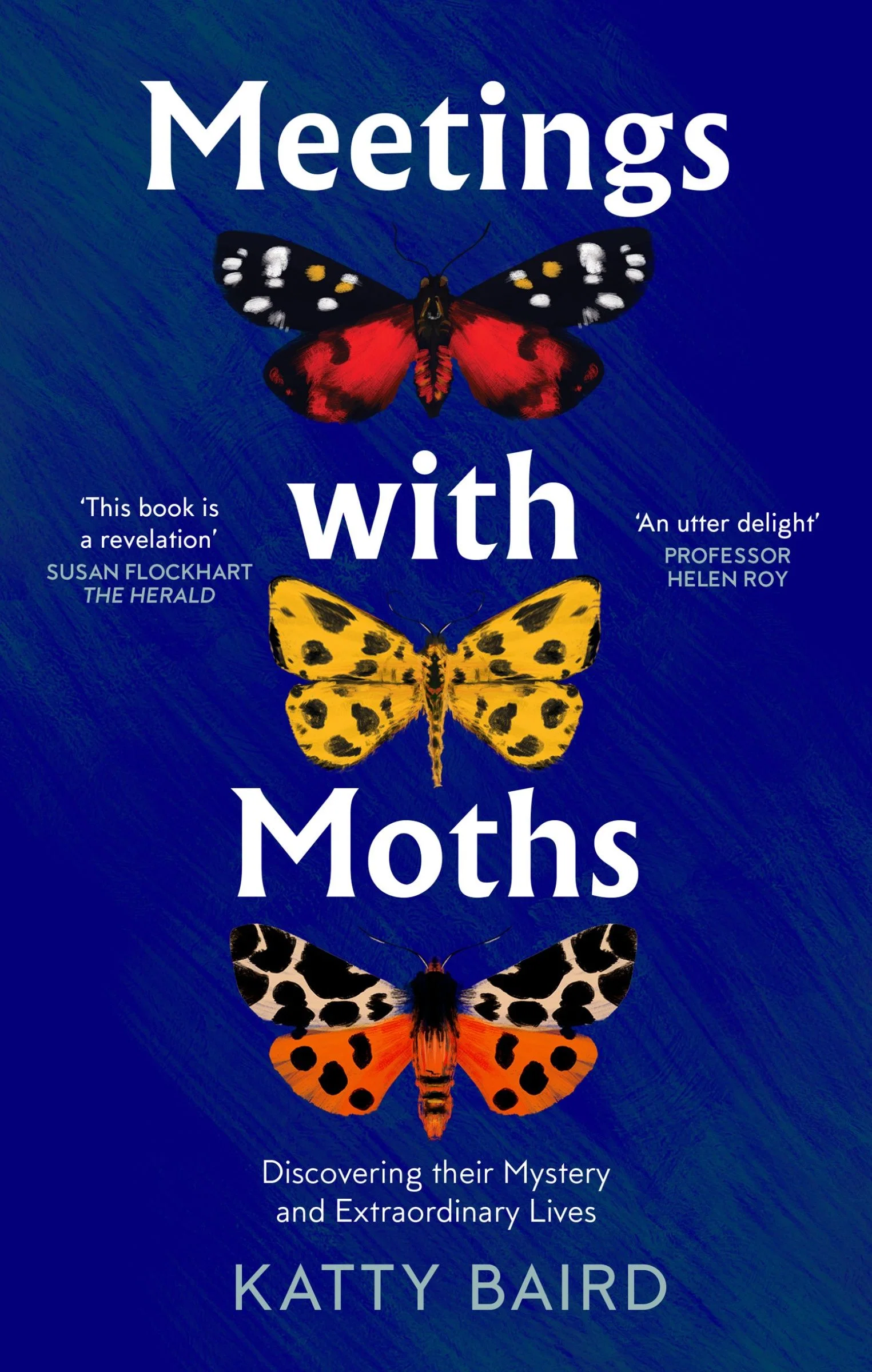 Meetings with Moths: Discovering their Mystery and Extraordinary Lives - Image 2