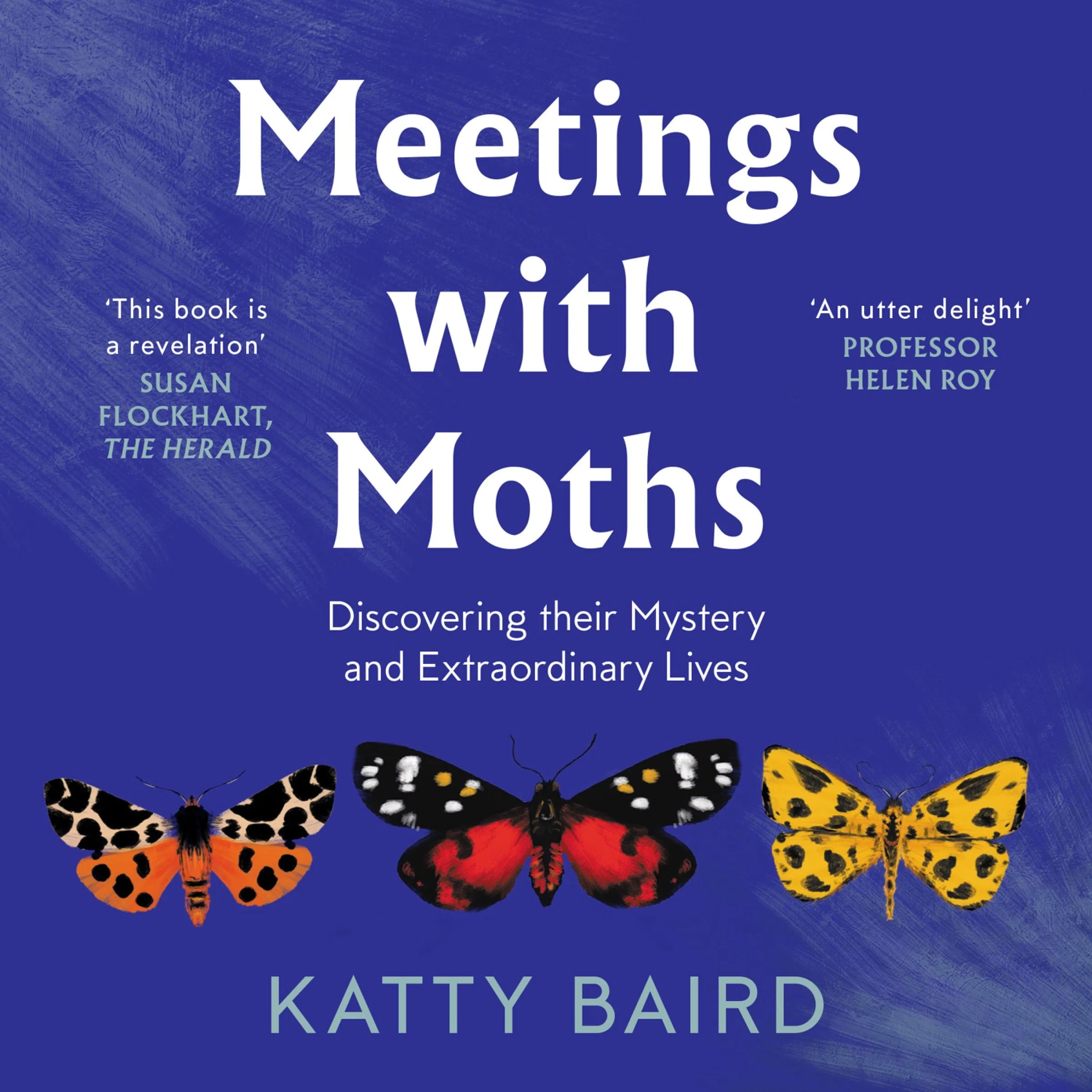 Meetings with Moths: Discovering their Mystery and Extraordinary Lives - Image 4