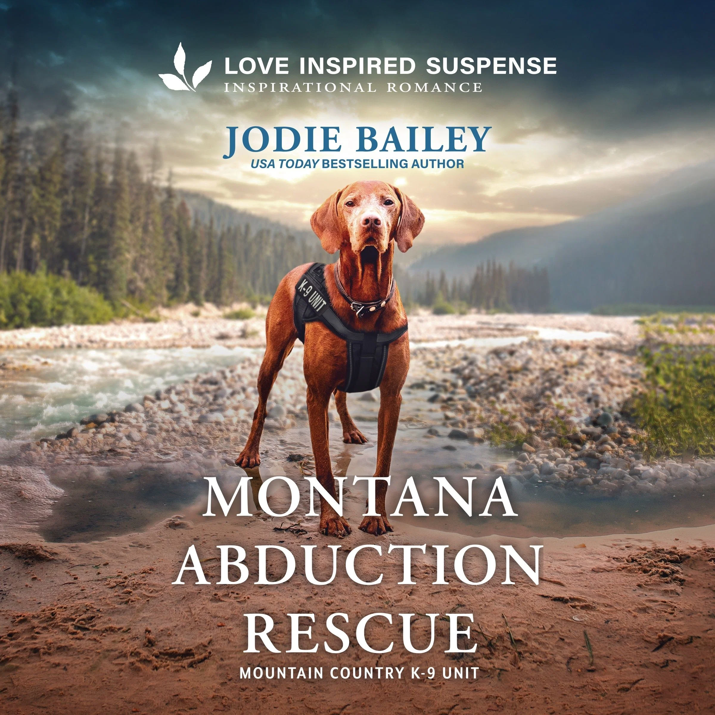 Montana Abduction Rescue - Image 2