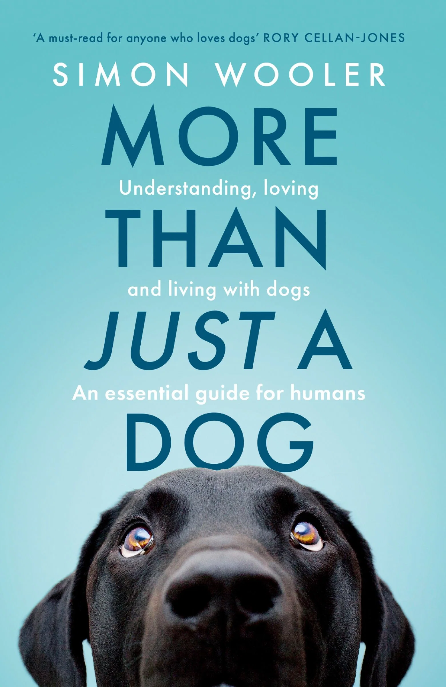 More Than Just a Dog: Understanding, loving and living with dogs. An essential guide for humans. - Image 2