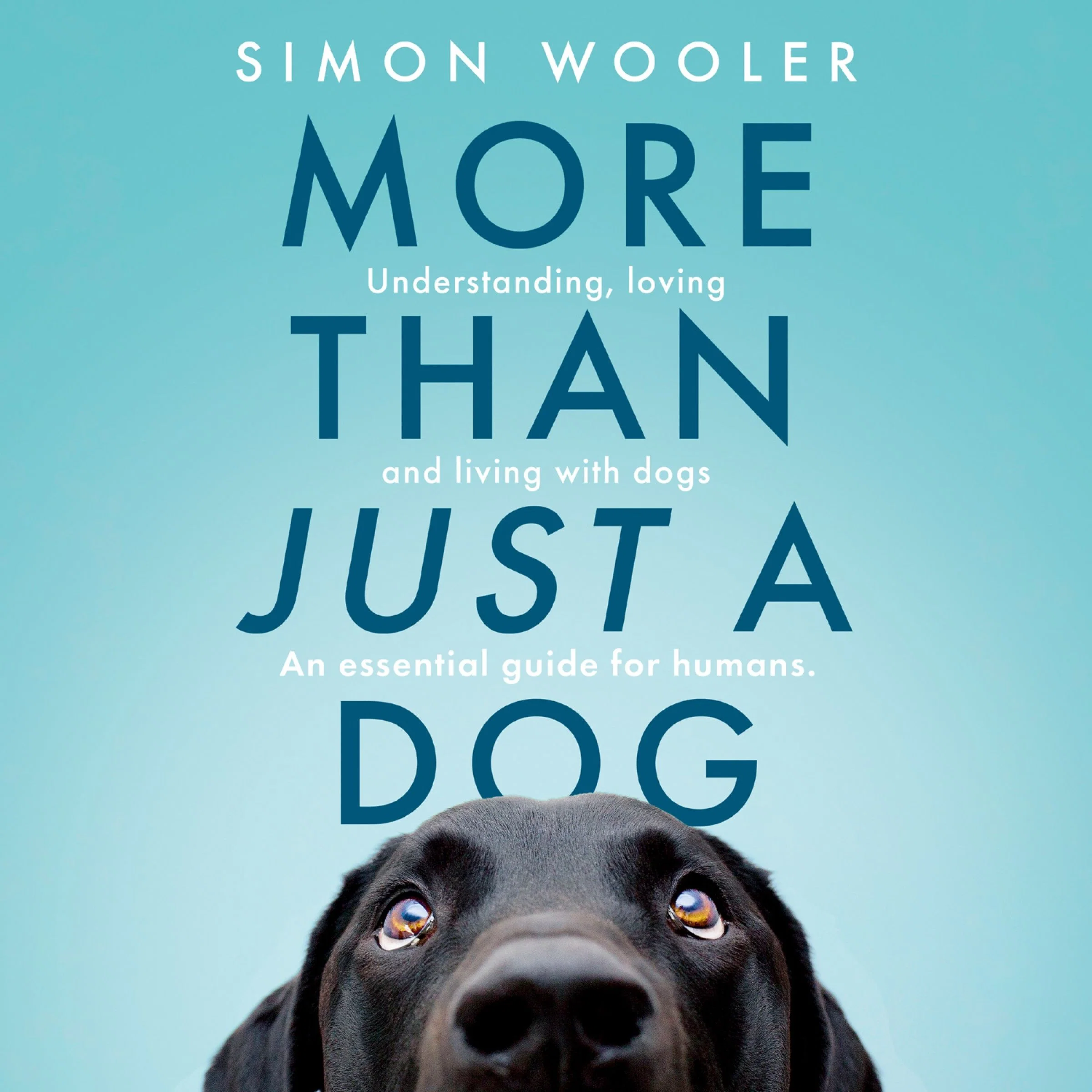 More Than Just a Dog: Understanding, loving and living with dogs. An essential guide for humans. - Image 4