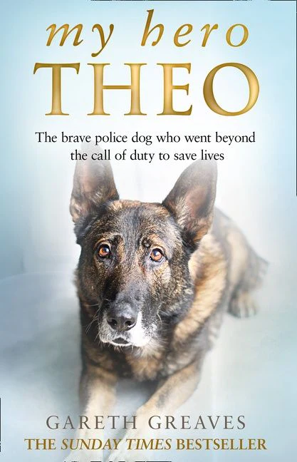 My Hero Theo - Image 2