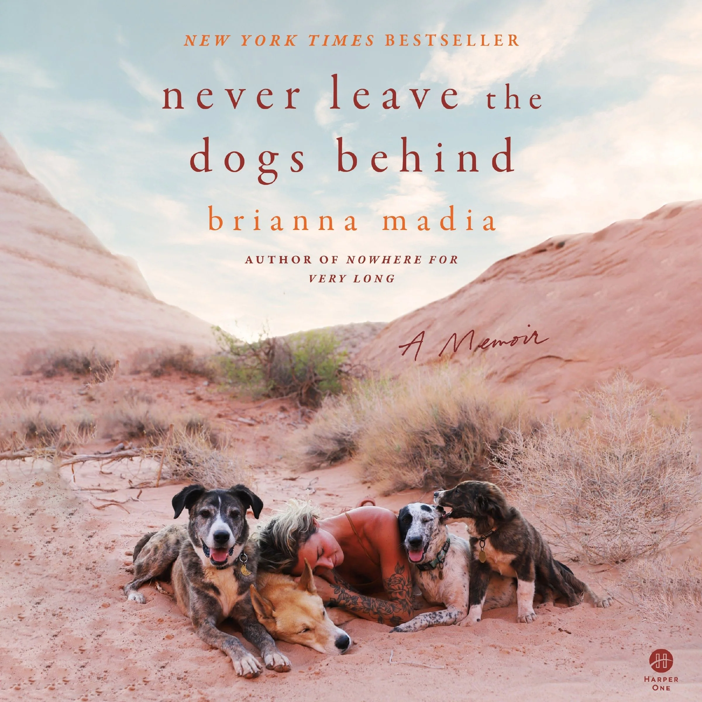 Never Leave the Dogs Behind - Image 5