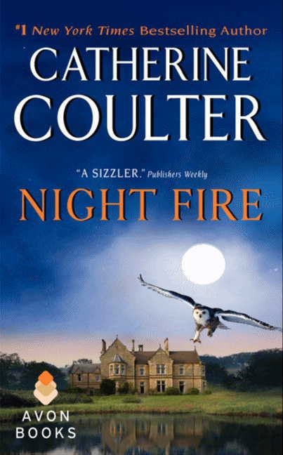Night Fire - Image 2