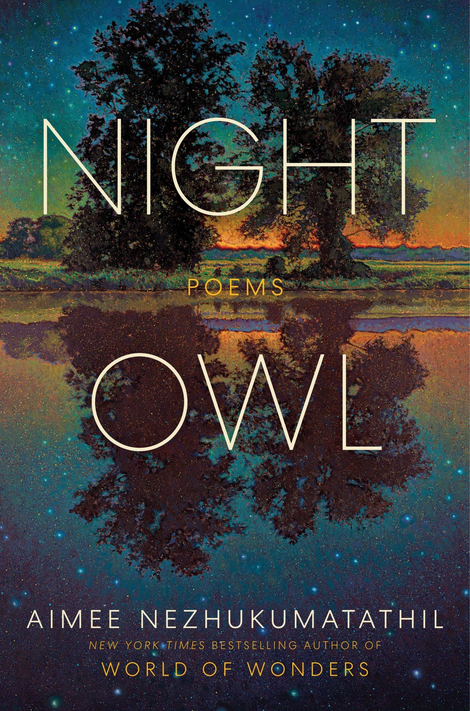 Night Owl - Image 2