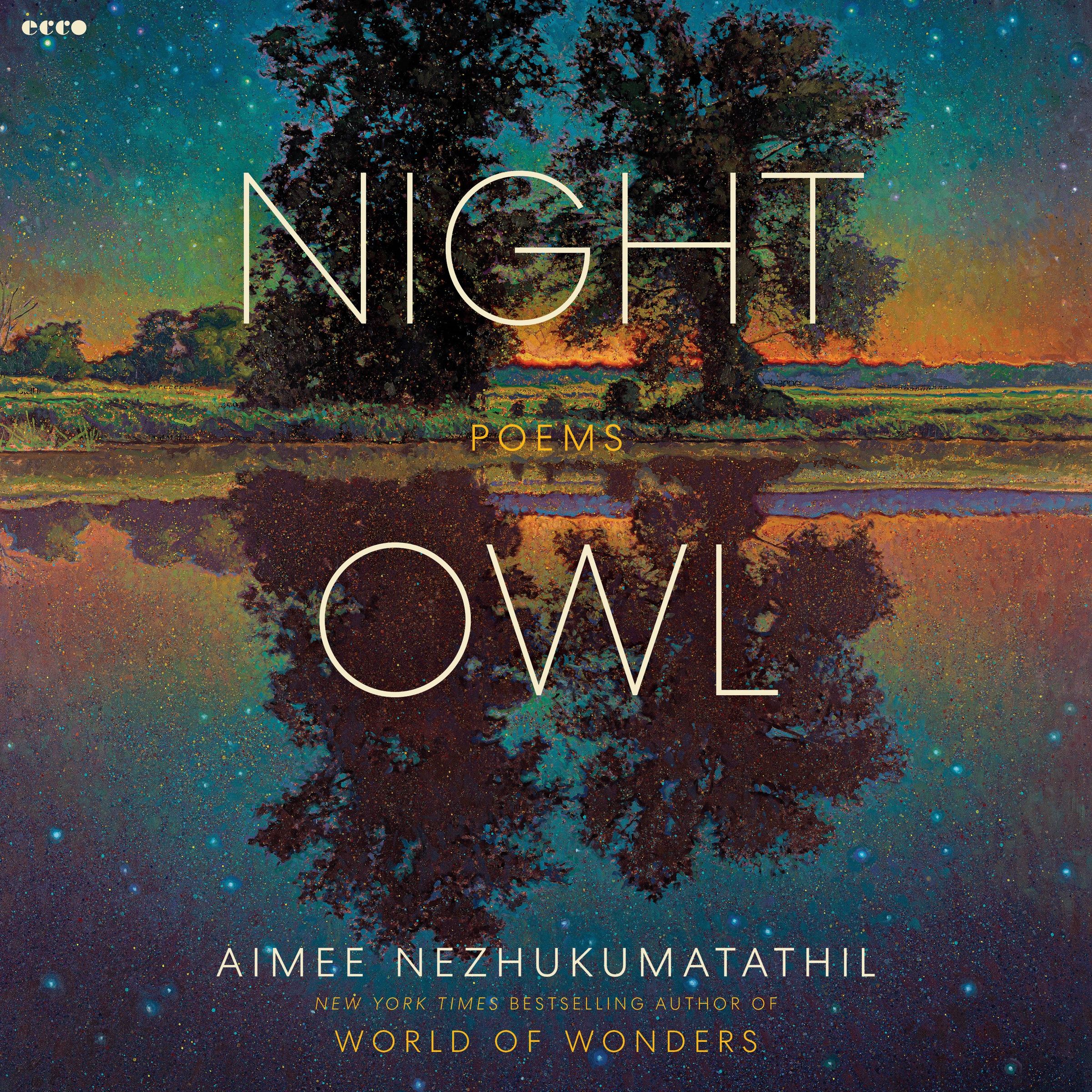 Night Owl - Image 4