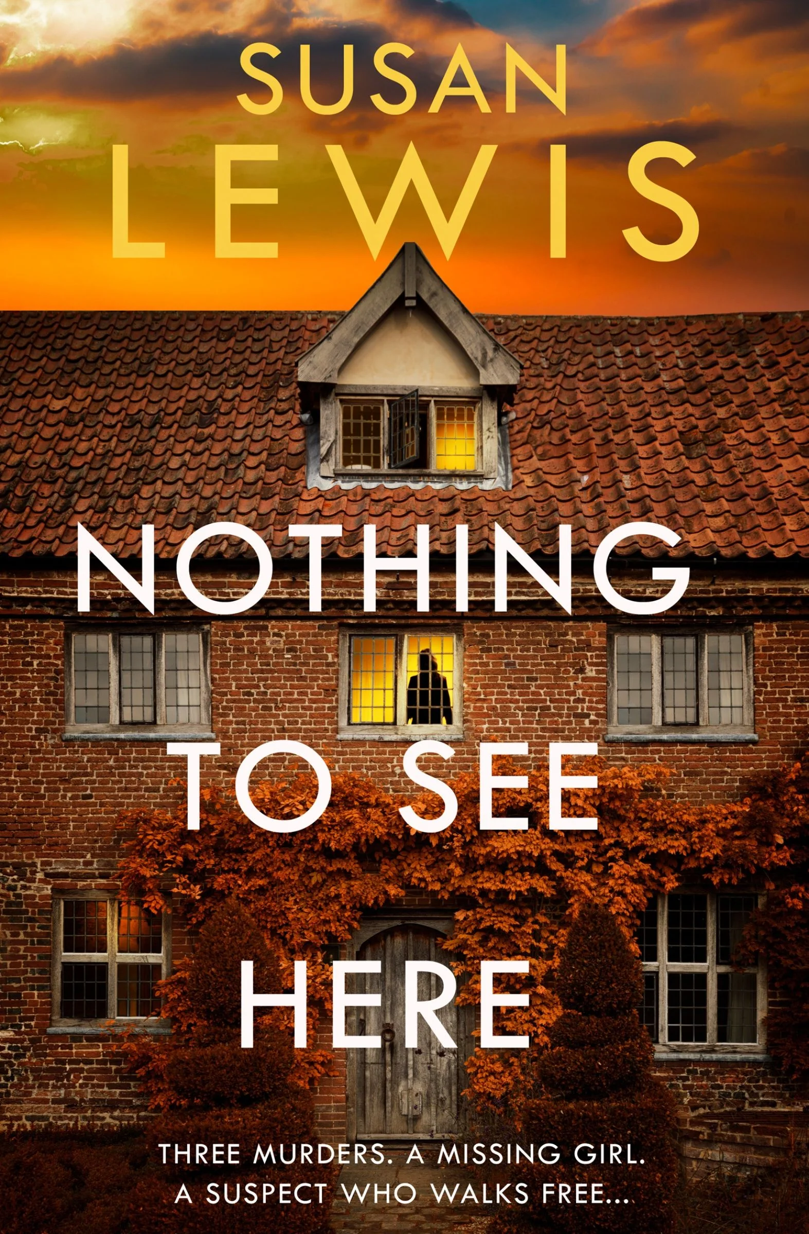 Nothing to See Here (Cristy Ward thriller) - Image 4