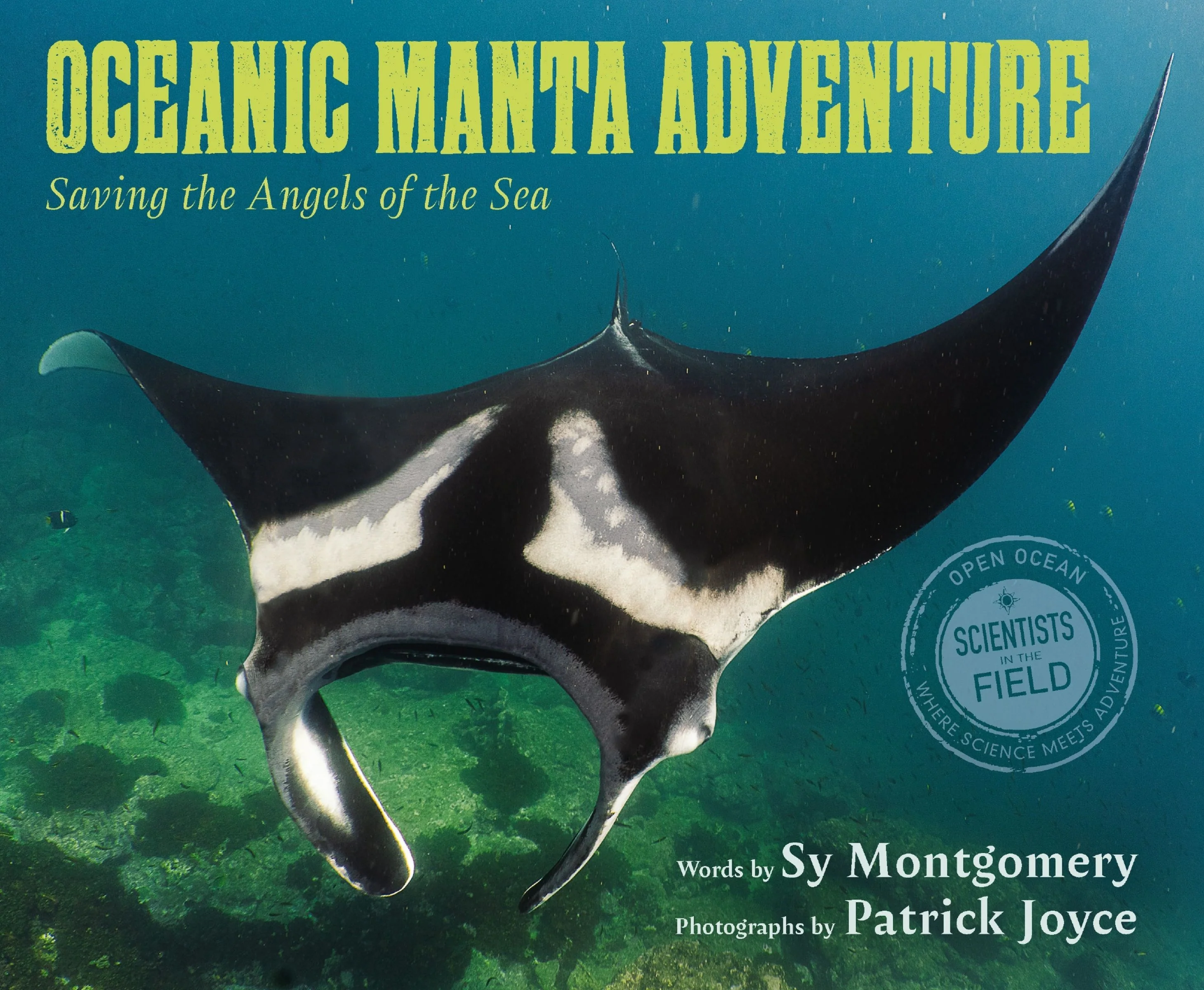 Oceanic Manta Adventure - Image 2