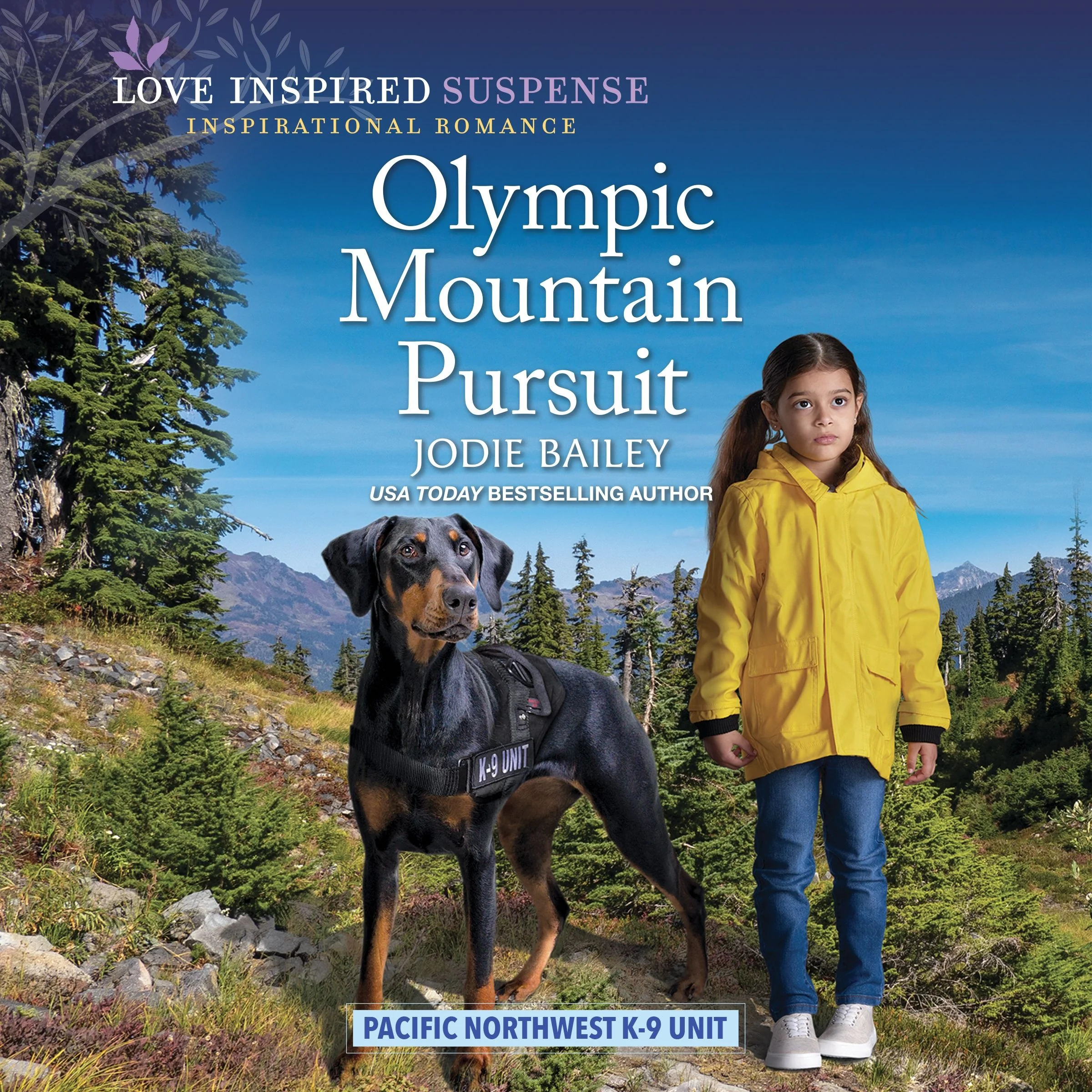 Olympic Mountain Pursuit - Image 2