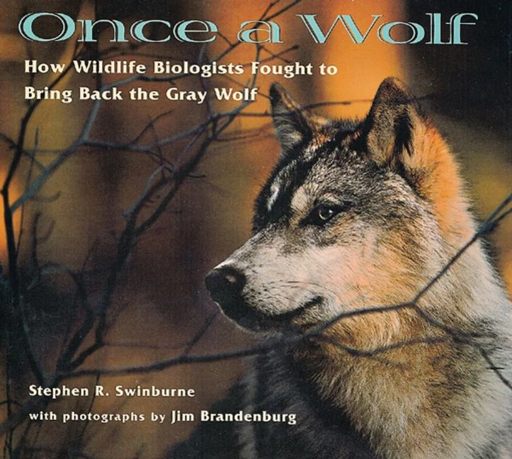 Once a Wolf - Image 2