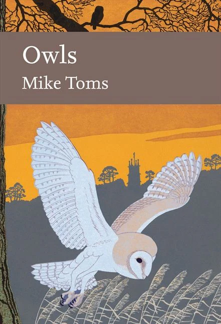 Owls - Image 3