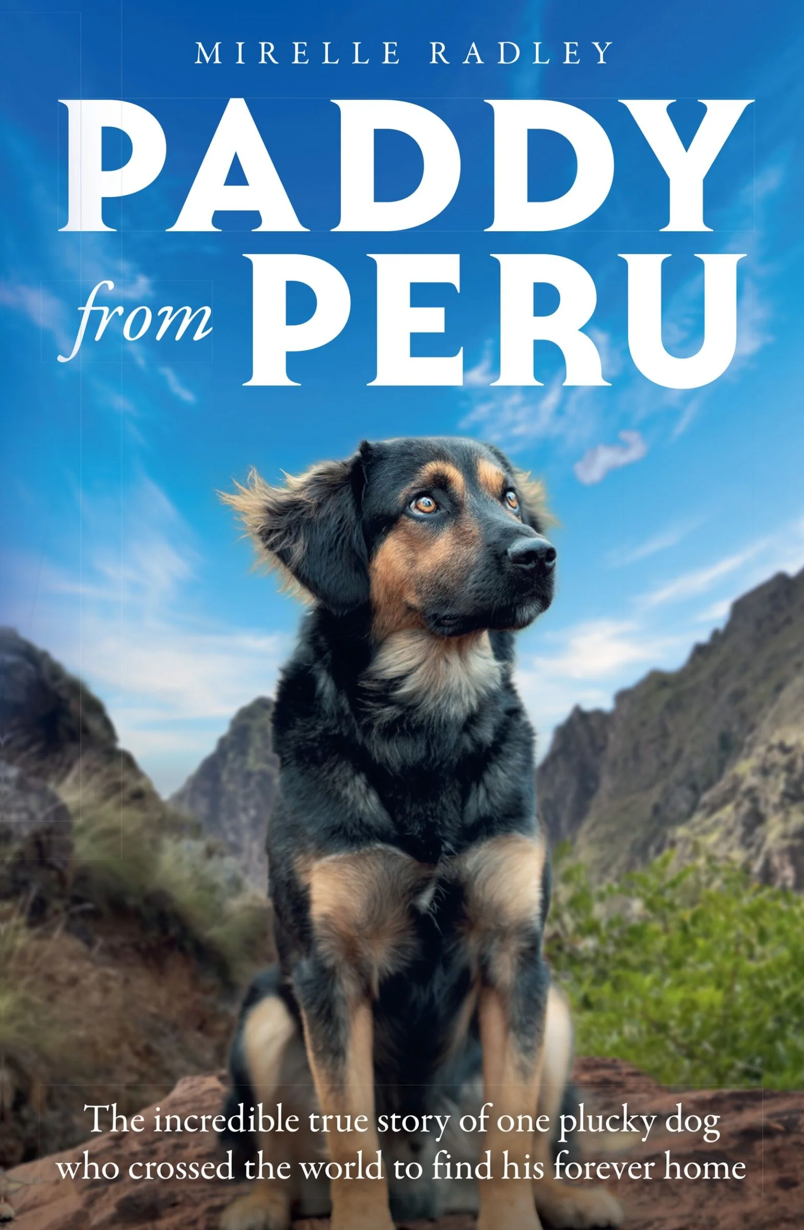 Paddy from Peru: The incredible true story of one plucky dog who crossed the world to find his forever home - Image 3