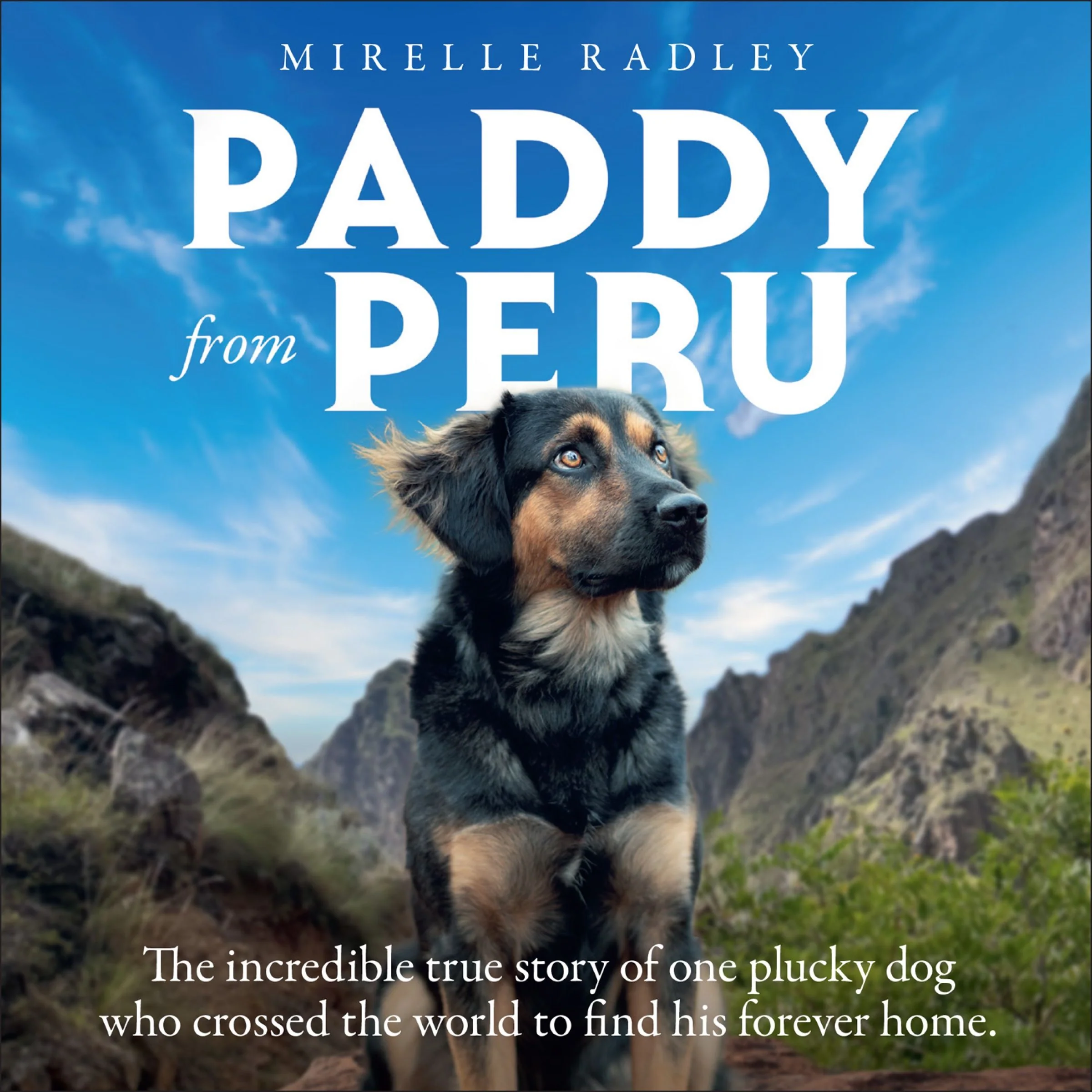 Paddy from Peru: The incredible true story of one plucky dog who crossed the world to find his forever home - Image 4