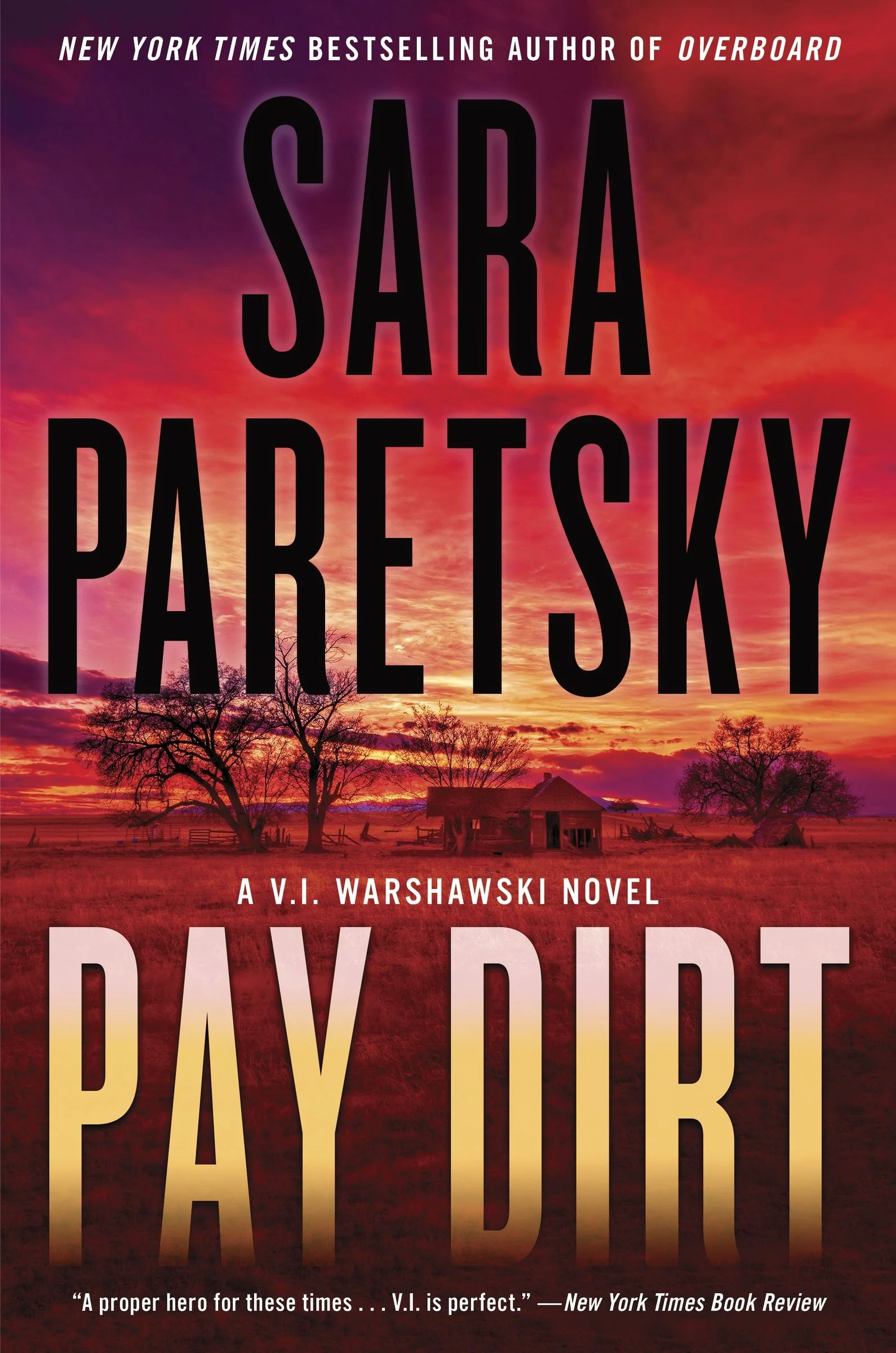 Pay Dirt - Image 5