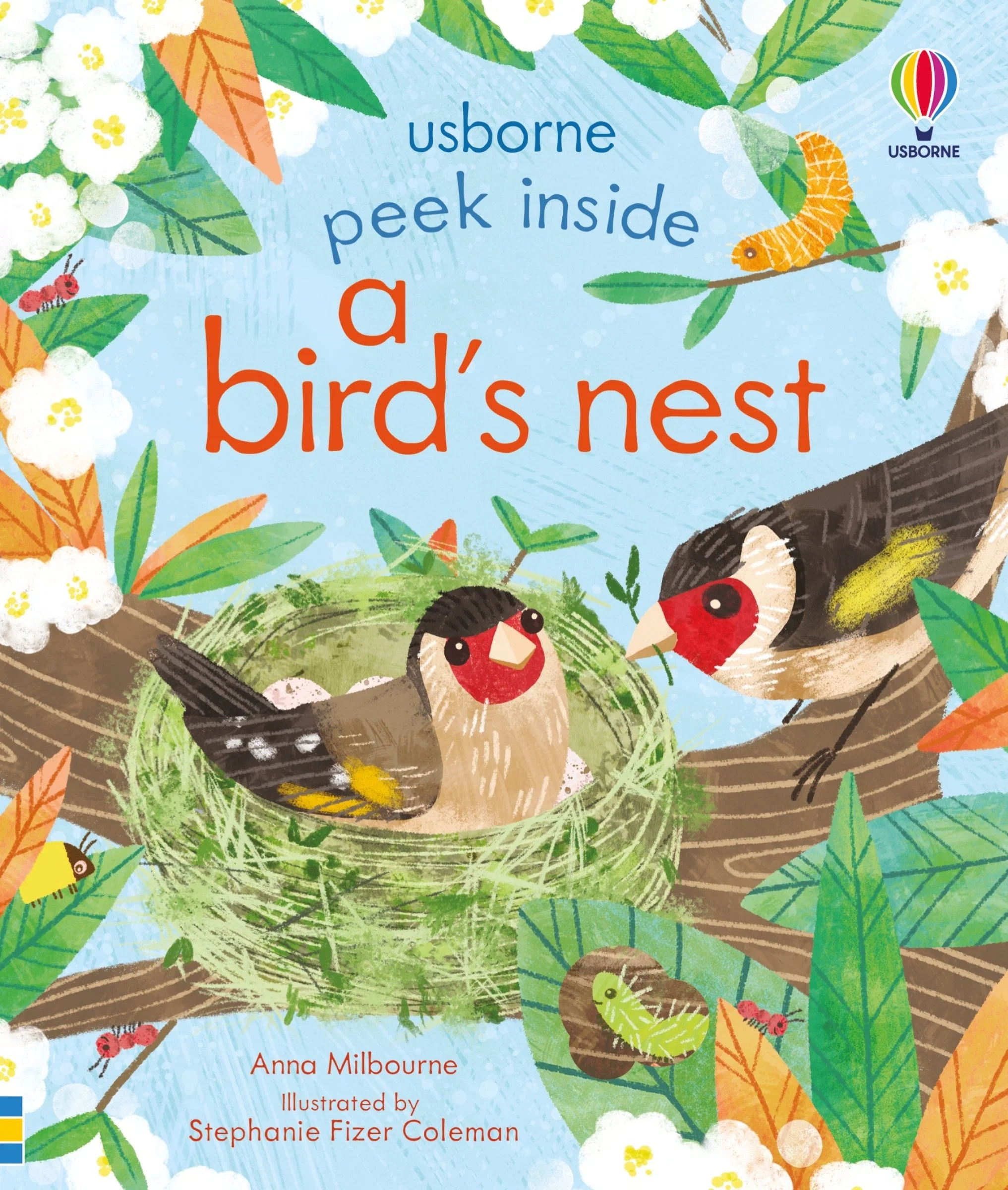Peek Inside a Bird's Nest - Image 2
