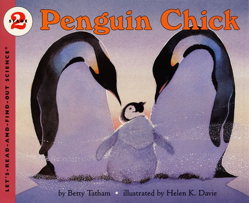 Penguin Chick - Image 2
