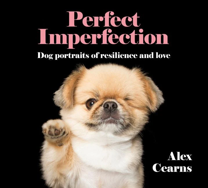 Perfect Imperfection: Dog Portraits Of Resilience And Love - Image 2