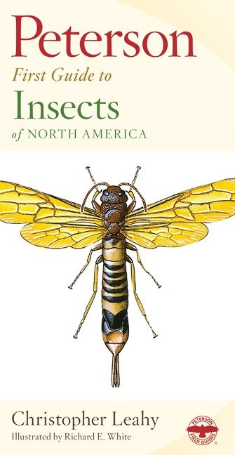 Peterson First Guide To Insects Of North America - Image 2