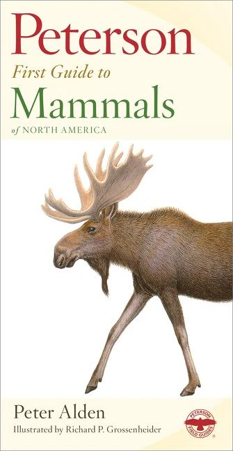 Peterson First Guide To Mammals Of North America - Image 2