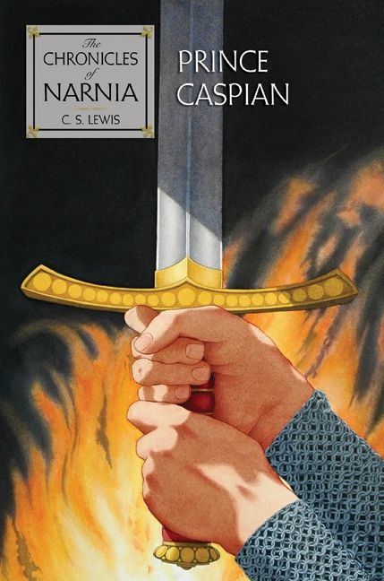 Prince Caspian - Image 4