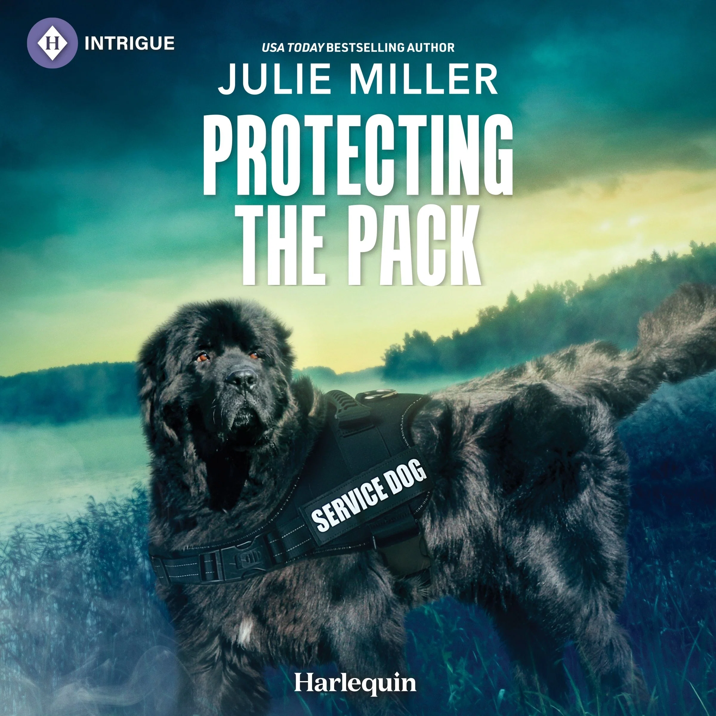 Protecting the Pack - Image 2