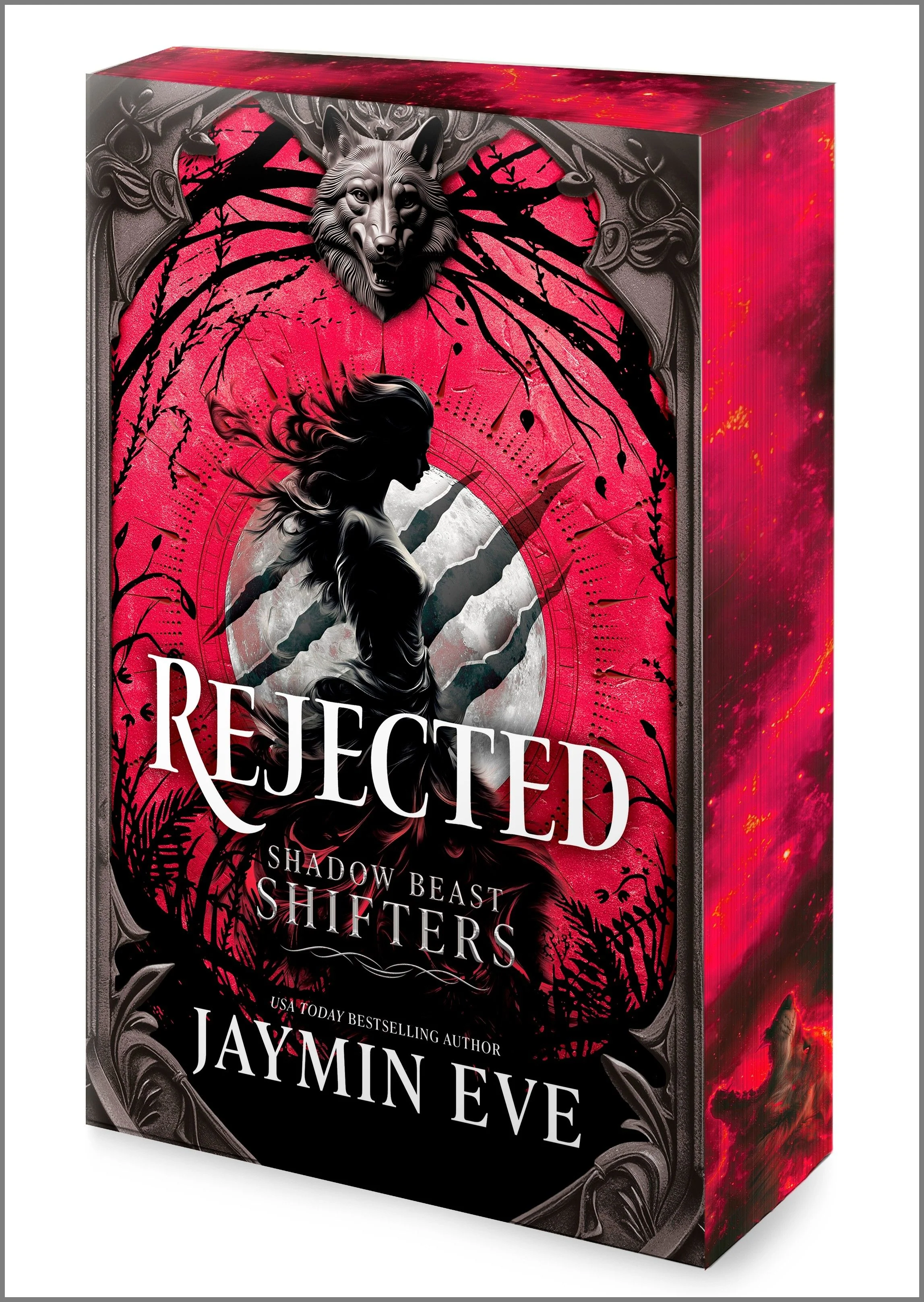 Rejected - Image 2